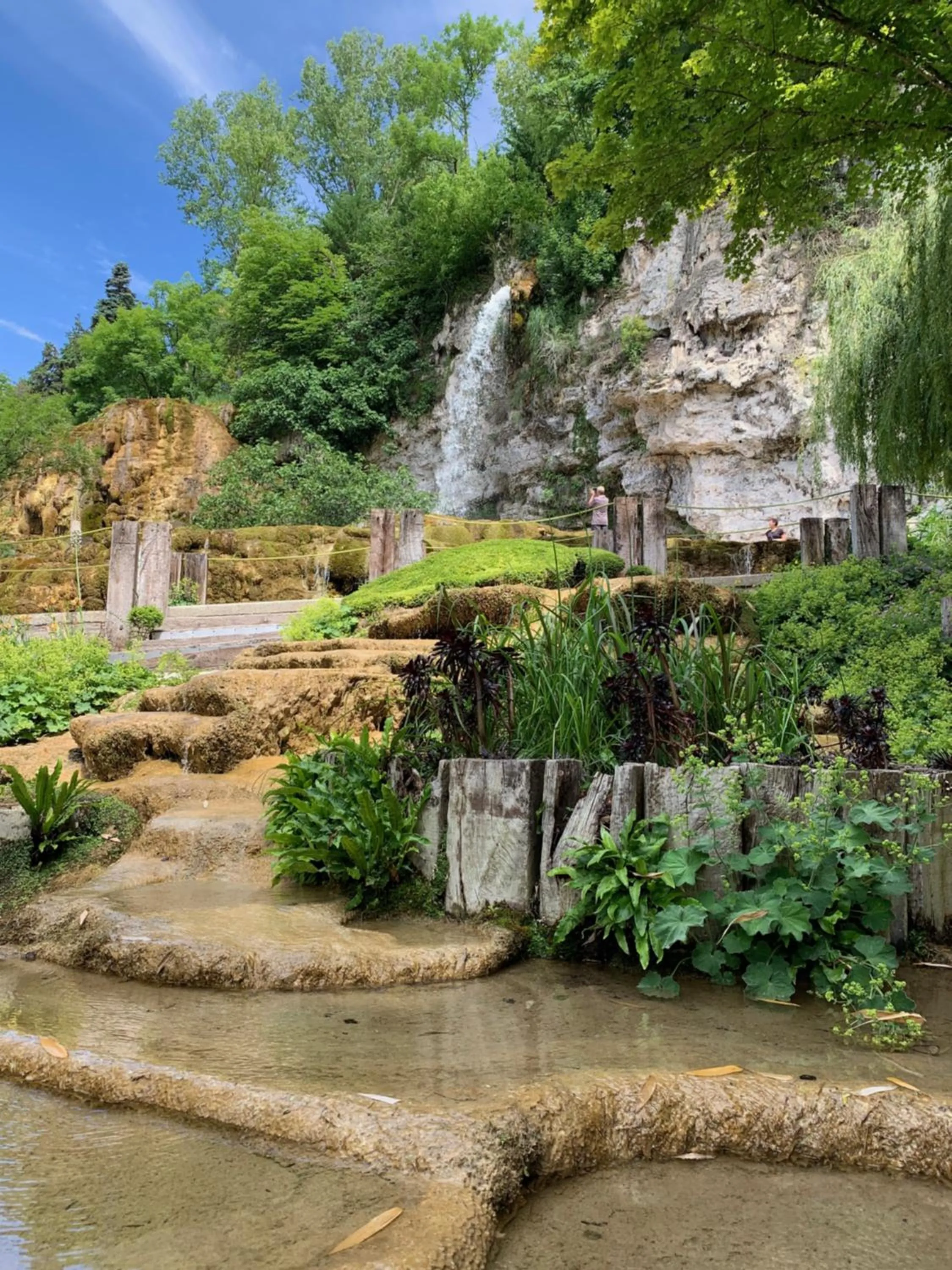 Natural landscape in Villa Escandia