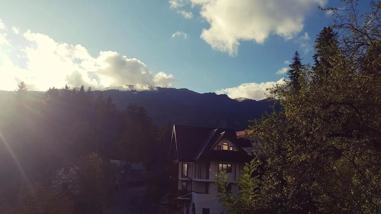 Neighbourhood in Casa Varful Cu Dor