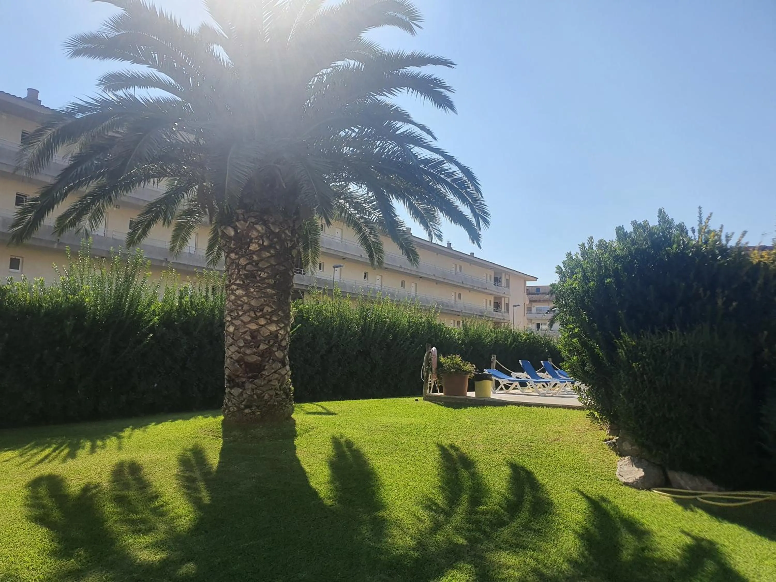 Garden in Payet Apartments