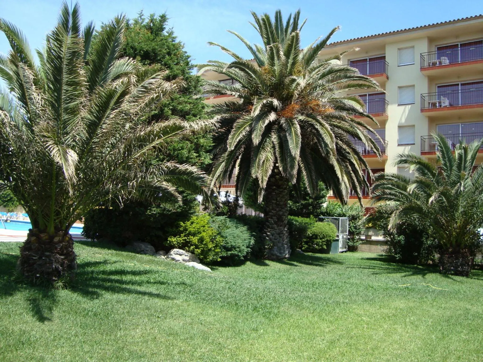 Garden in Payet Apartments