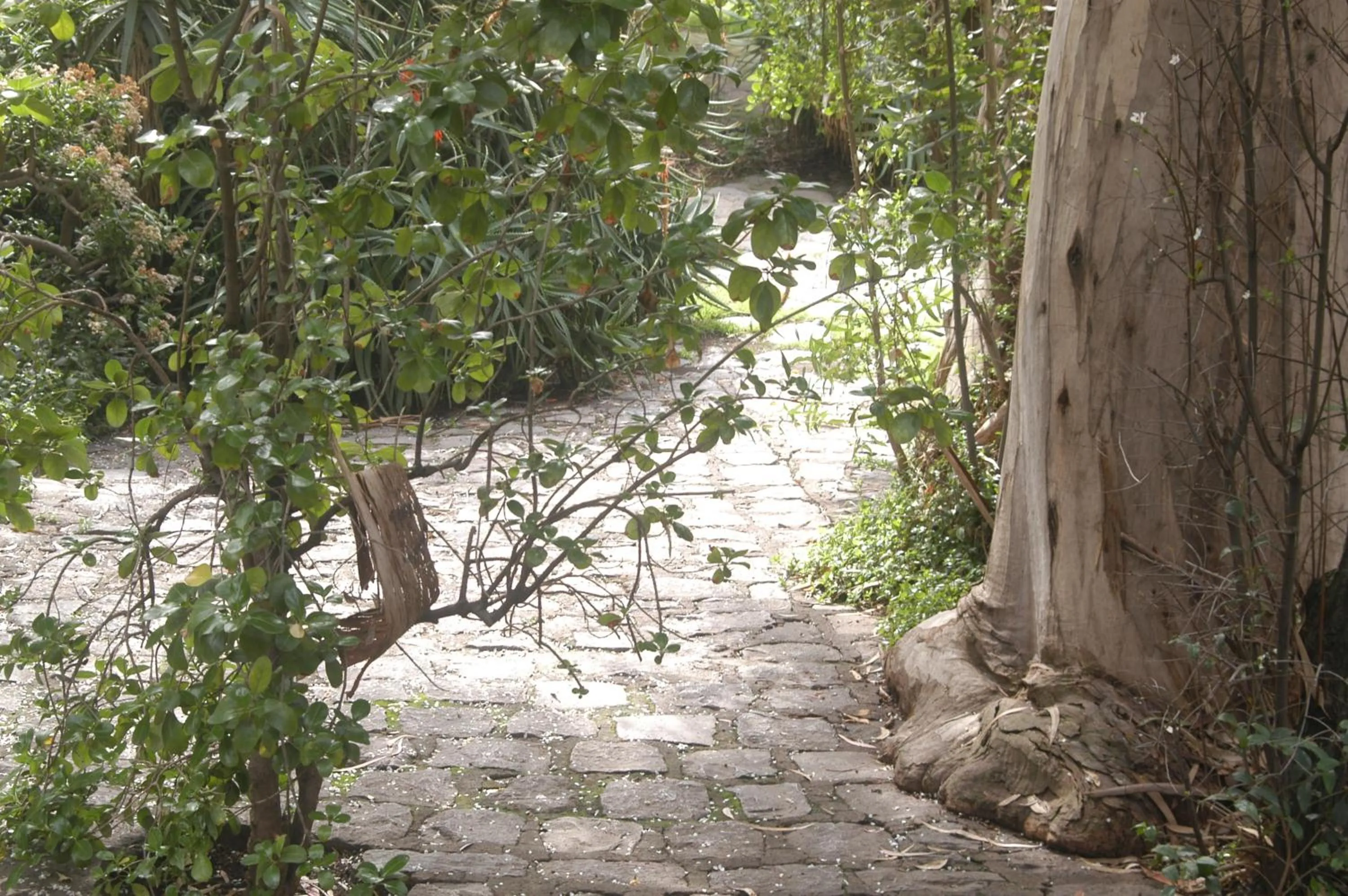 Other in Hotel Acacias de Vitacura