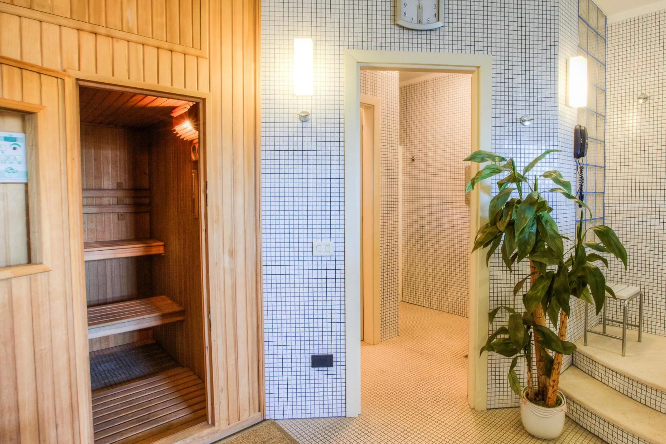 Sauna in Hotel San Francisco Spiaggia
