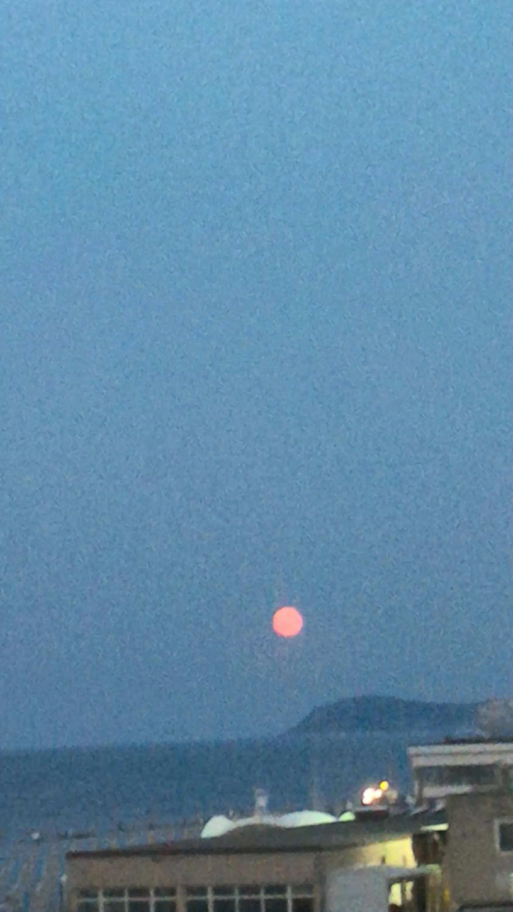 Beach in Hotel San Francisco Spiaggia