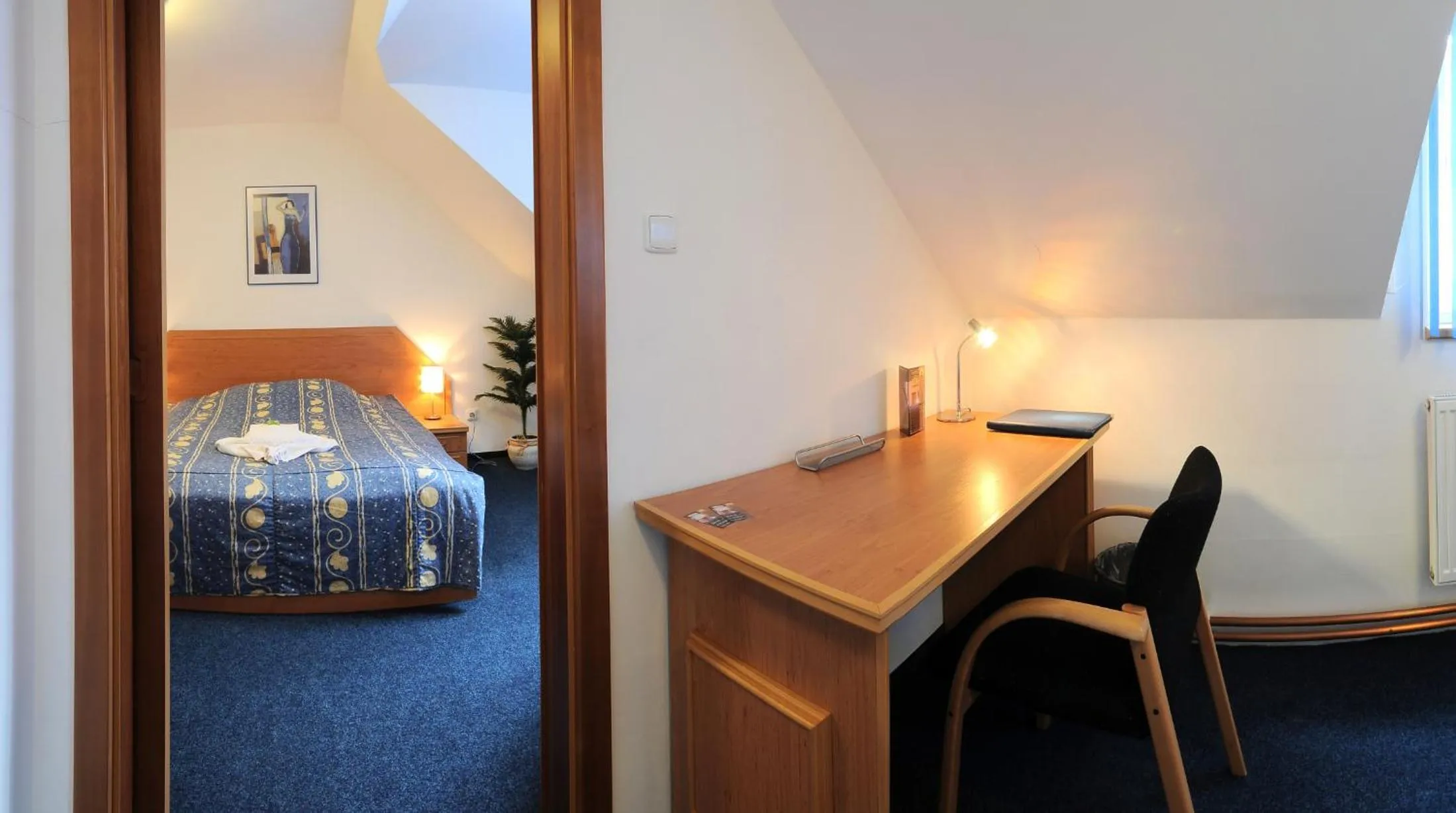 Area and facilities in Wellness Hotel Svoboda