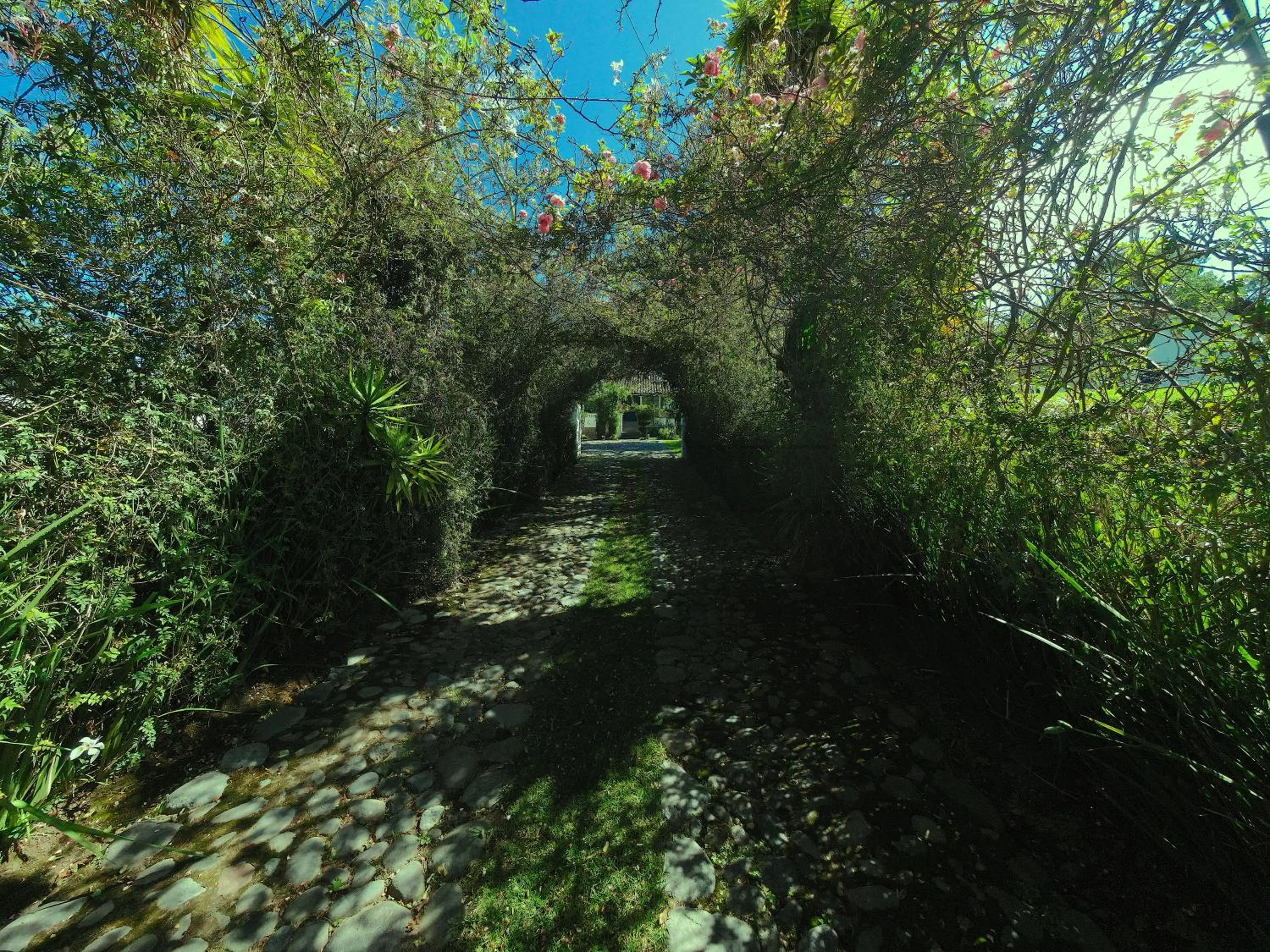 Natural landscape in Hotel Boutique Casa de Hacienda Su Merced