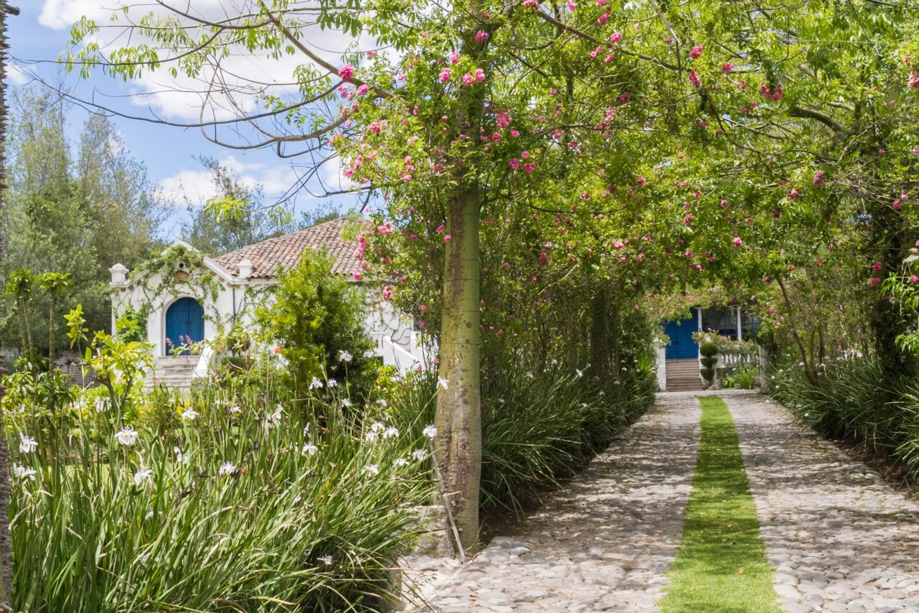 Garden in Hotel Boutique Casa de Hacienda Su Merced