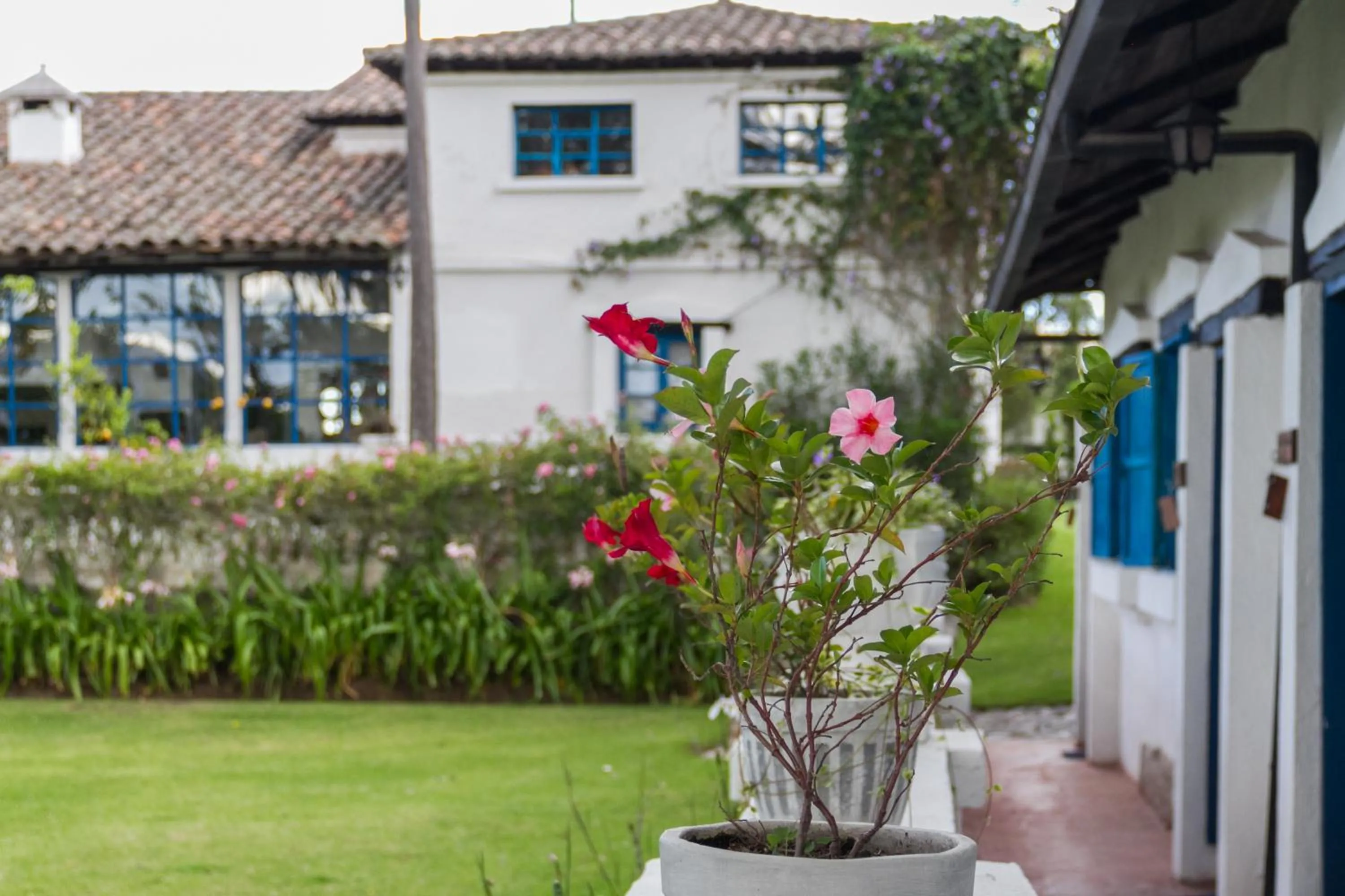 Other in Hotel Boutique Casa de Hacienda Su Merced