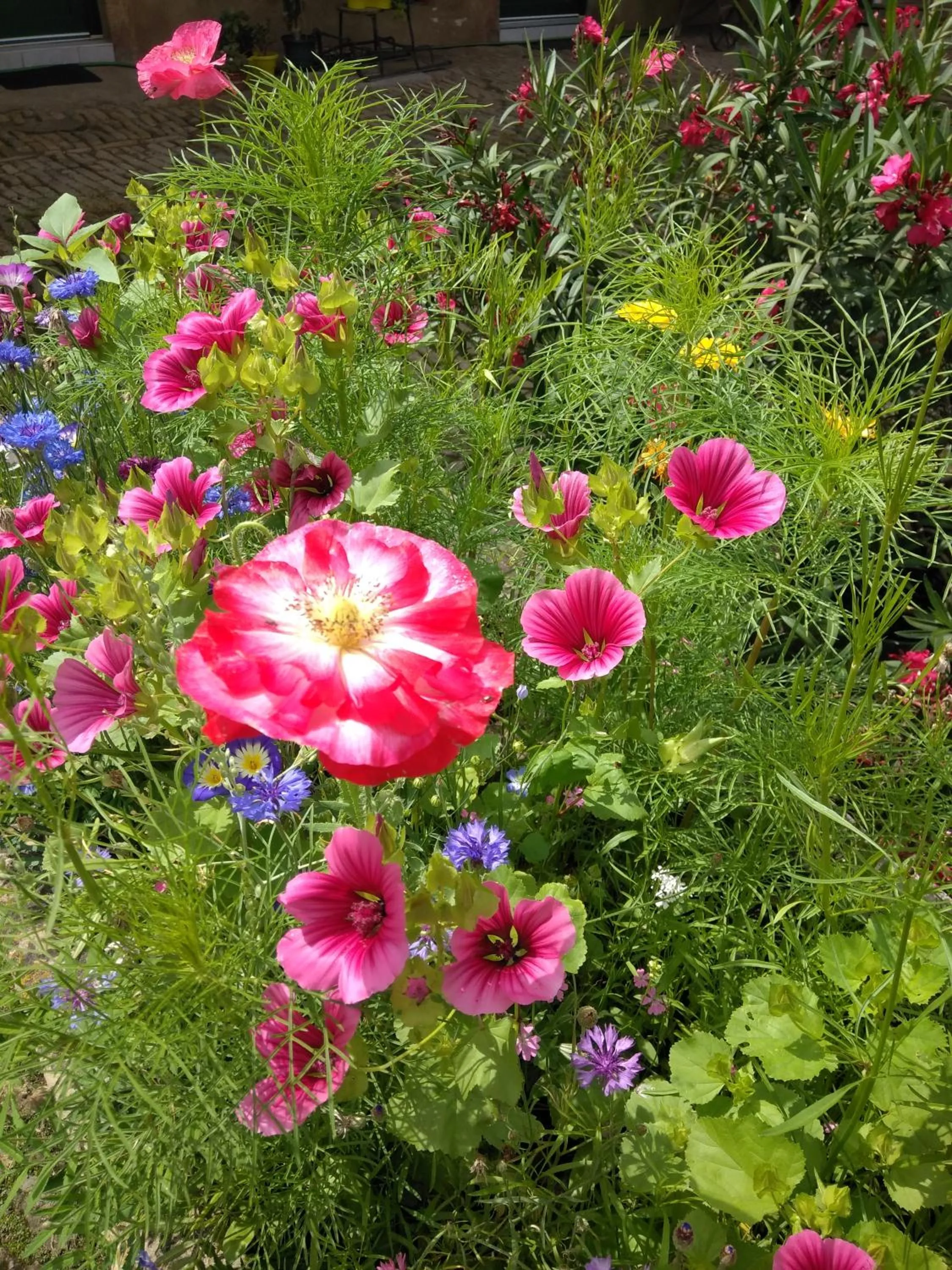 Inner courtyard view in La chambre aux hirondelles