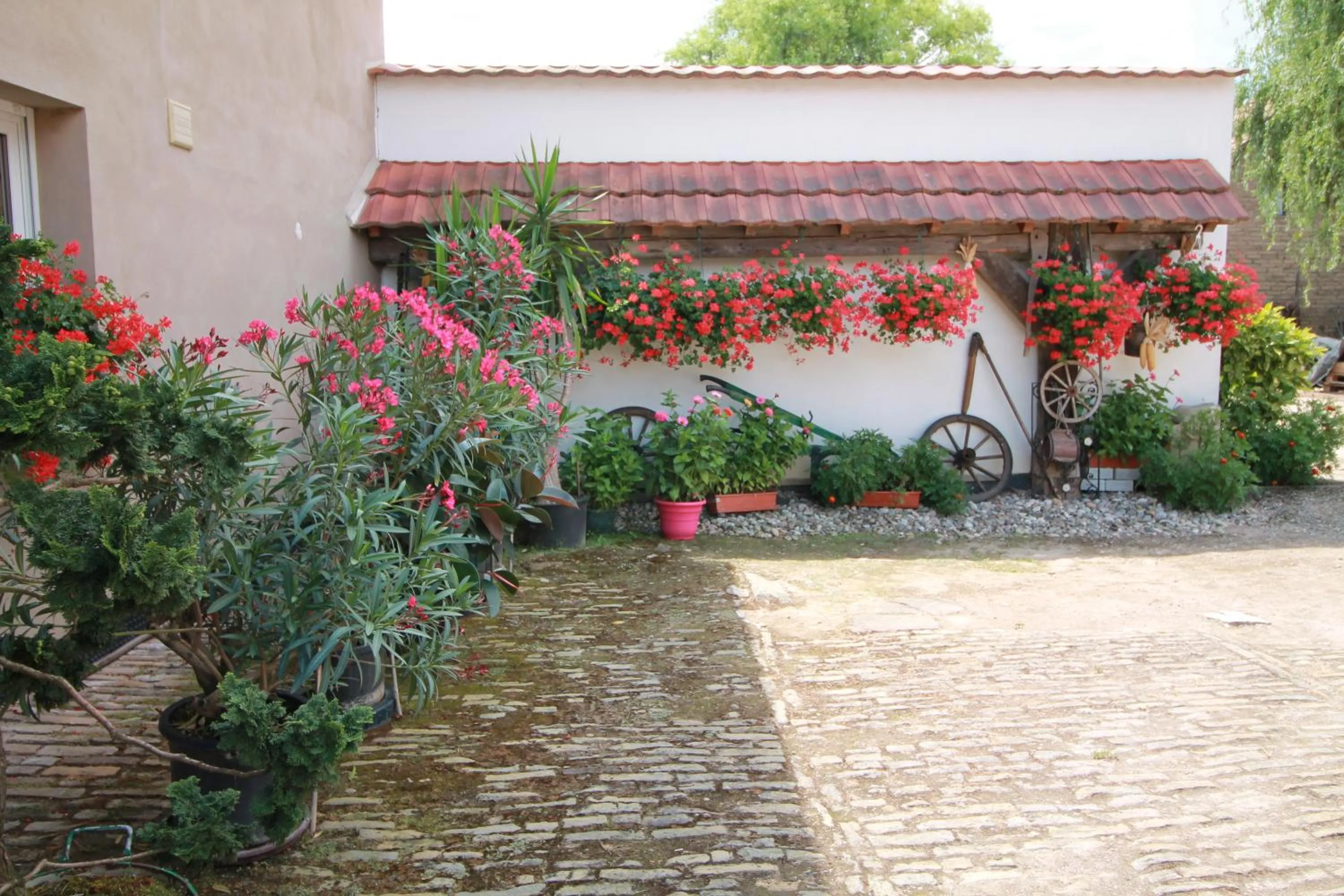 Facade/entrance in La chambre aux hirondelles