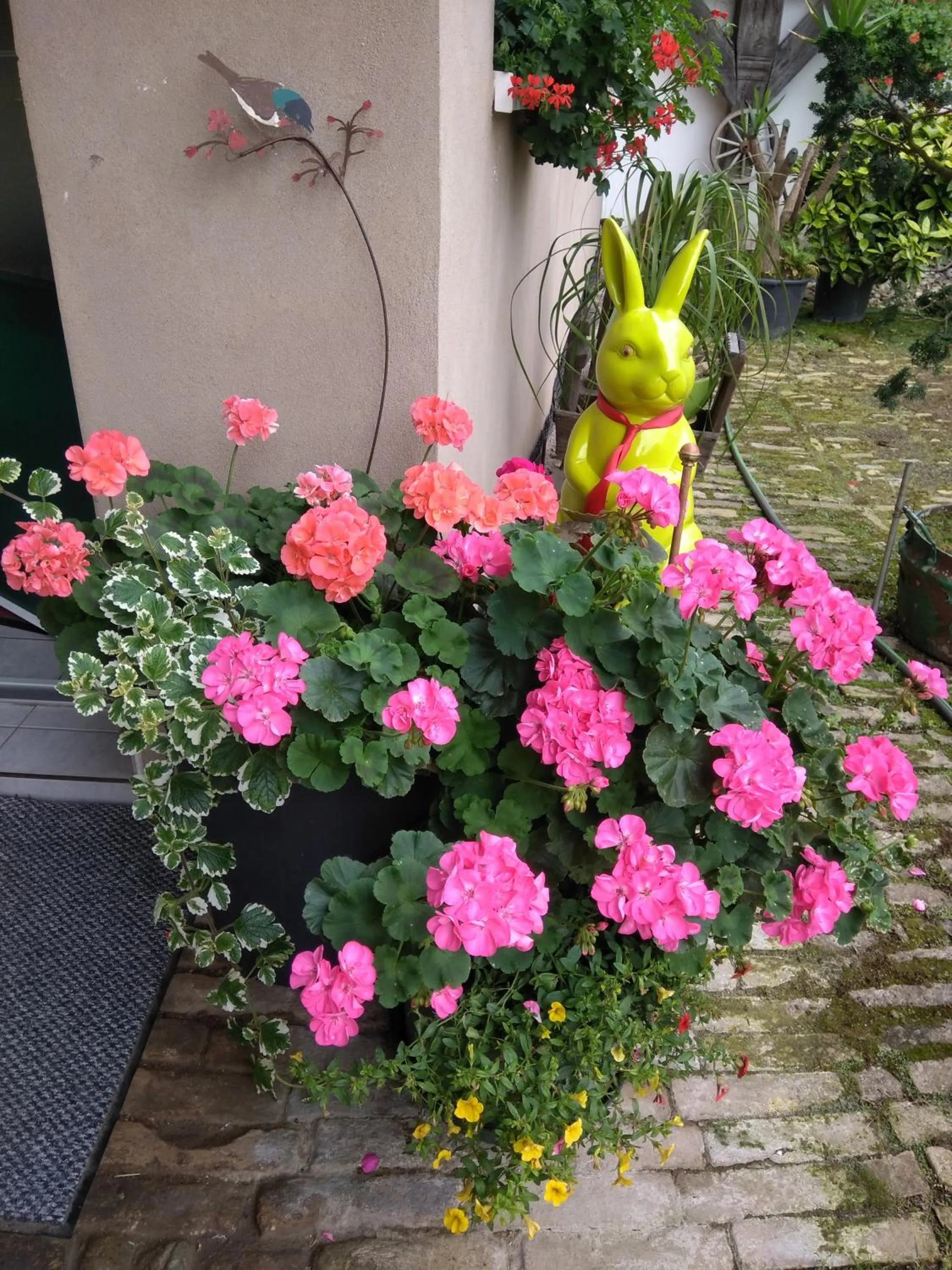 Facade/entrance in La chambre aux hirondelles