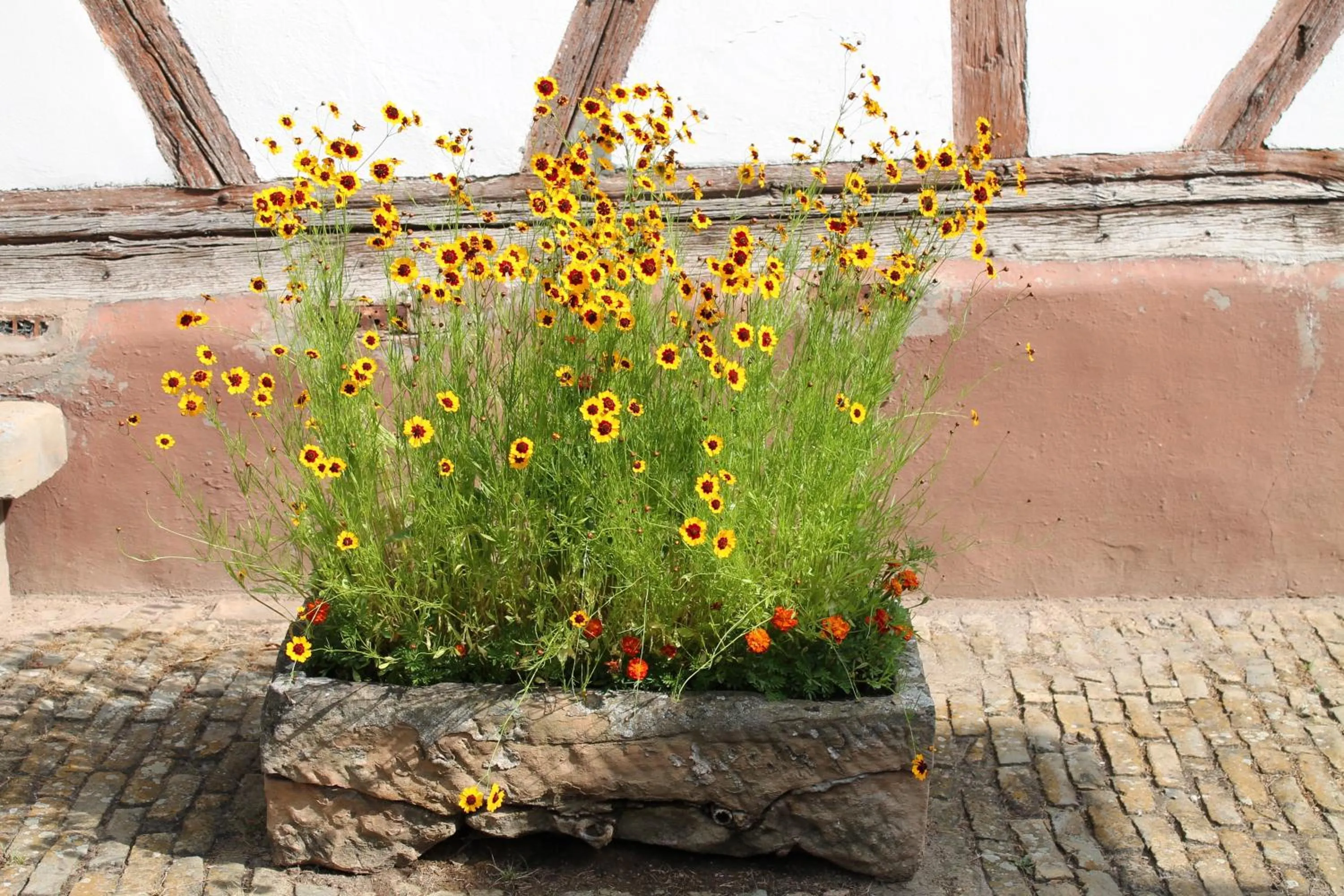 Inner courtyard view in La chambre aux hirondelles