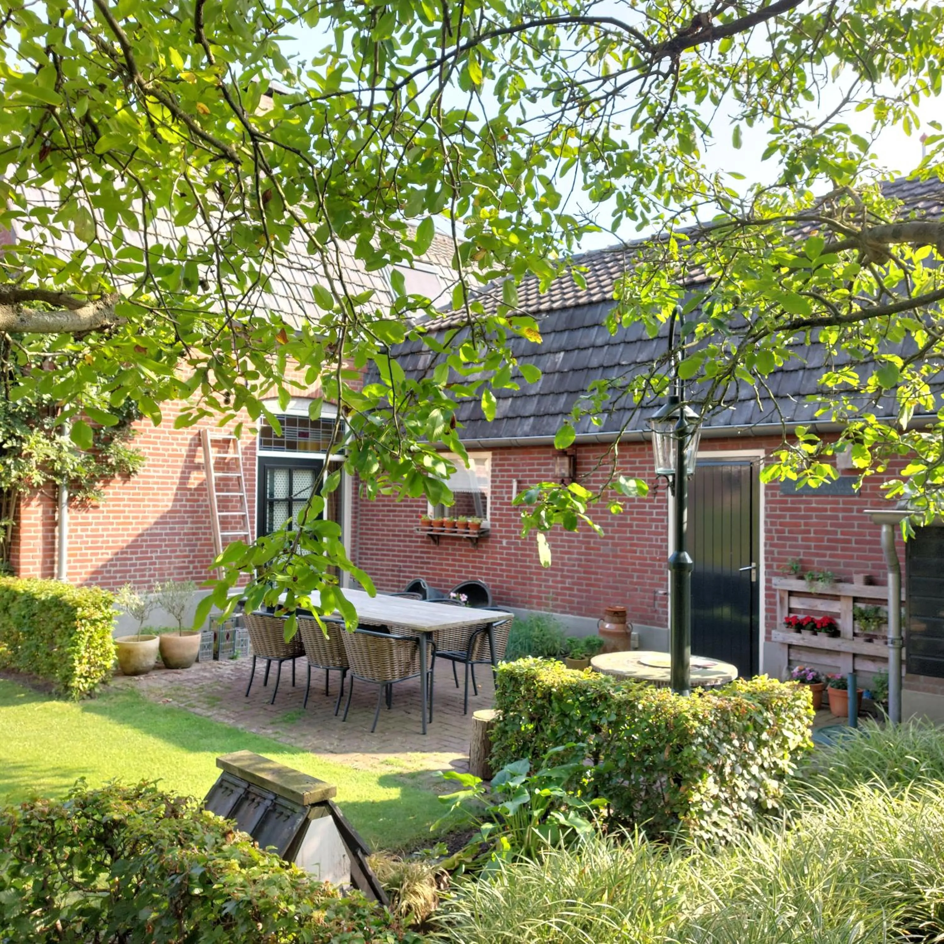 Garden in Bed&Breakfast ons Oda