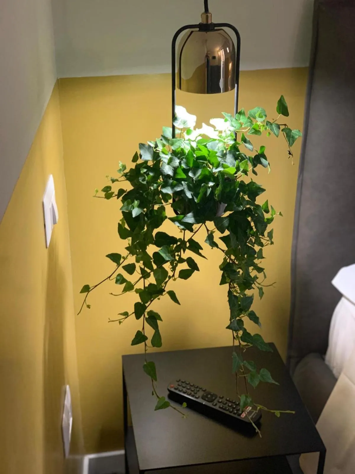 Cavour Urban Rooms by GHOR