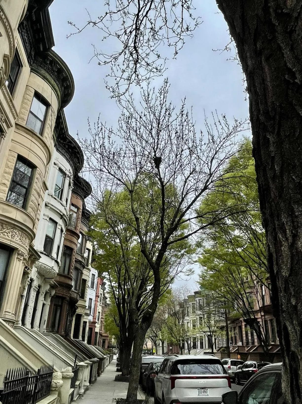 Street view in NYC Townhouse Apartment