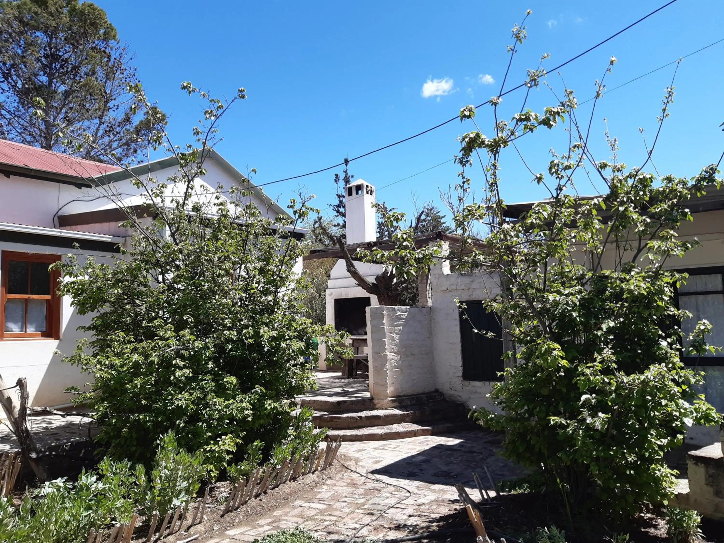 Garden in The Owlhouse Backpackers