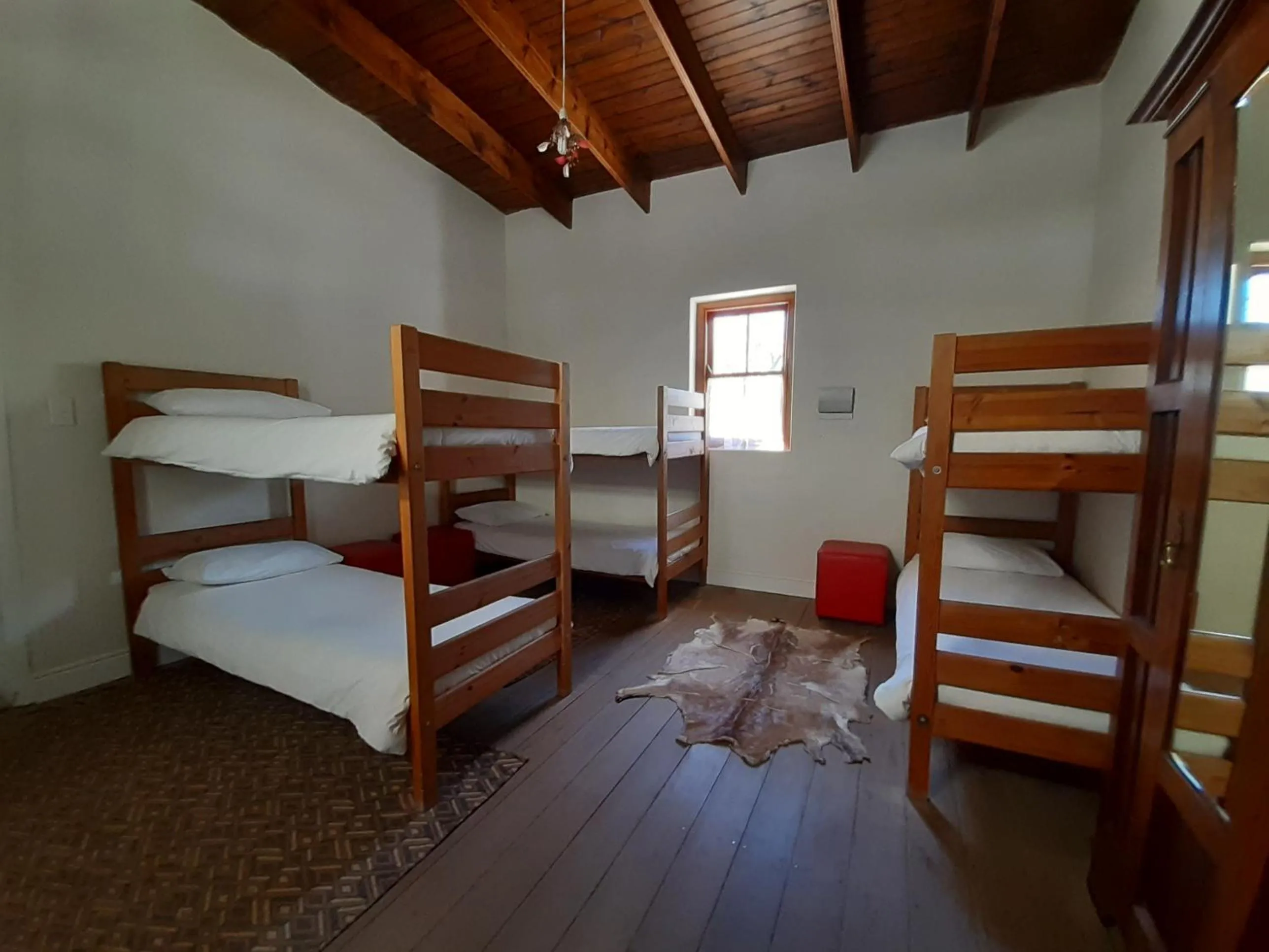 bunk bed, Bed in The Owlhouse Backpackers