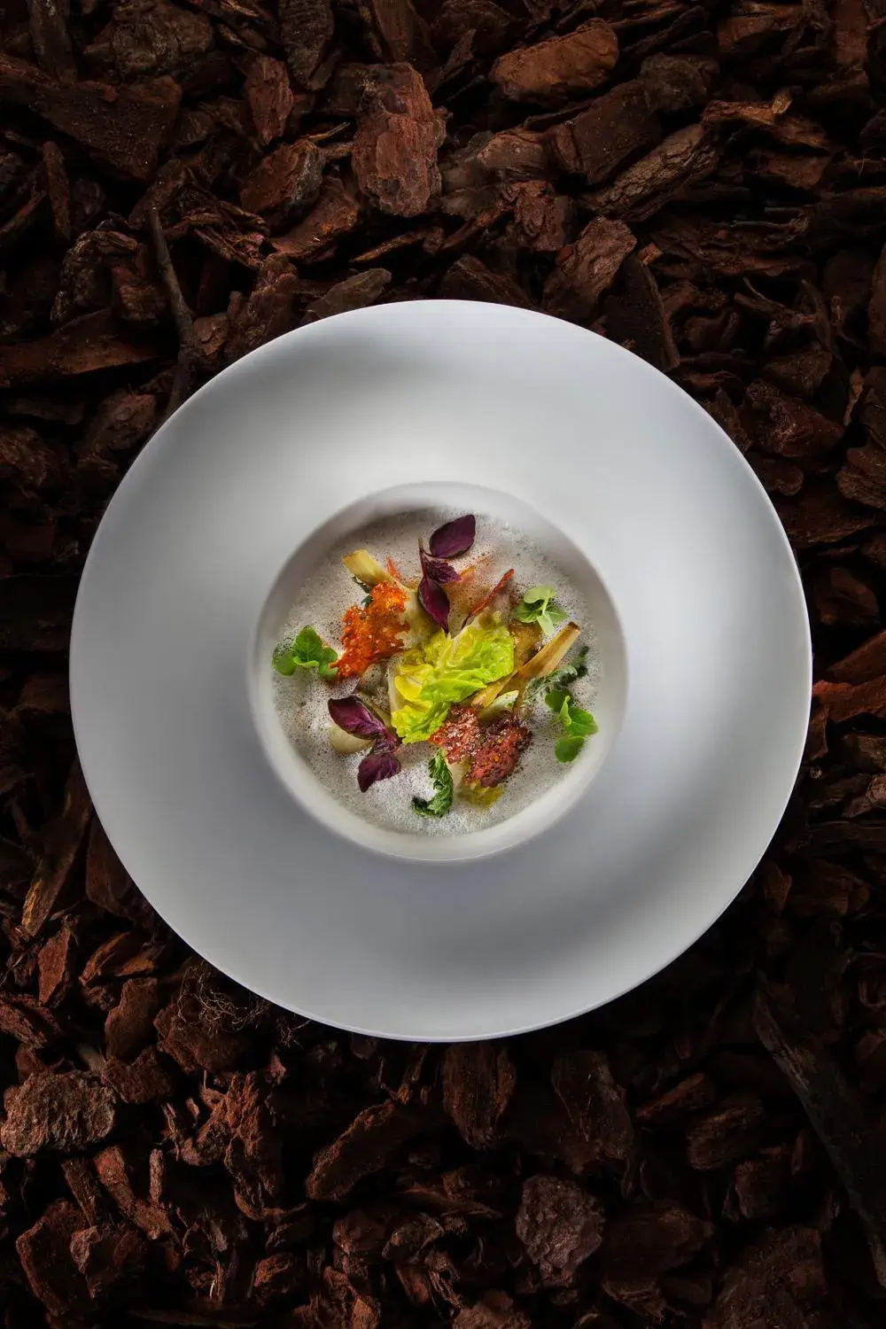 Restaurant/places to eat in Jiva Hill Resort - Genève Restaurant/places to eat in Jiva Hill Resort - Genève