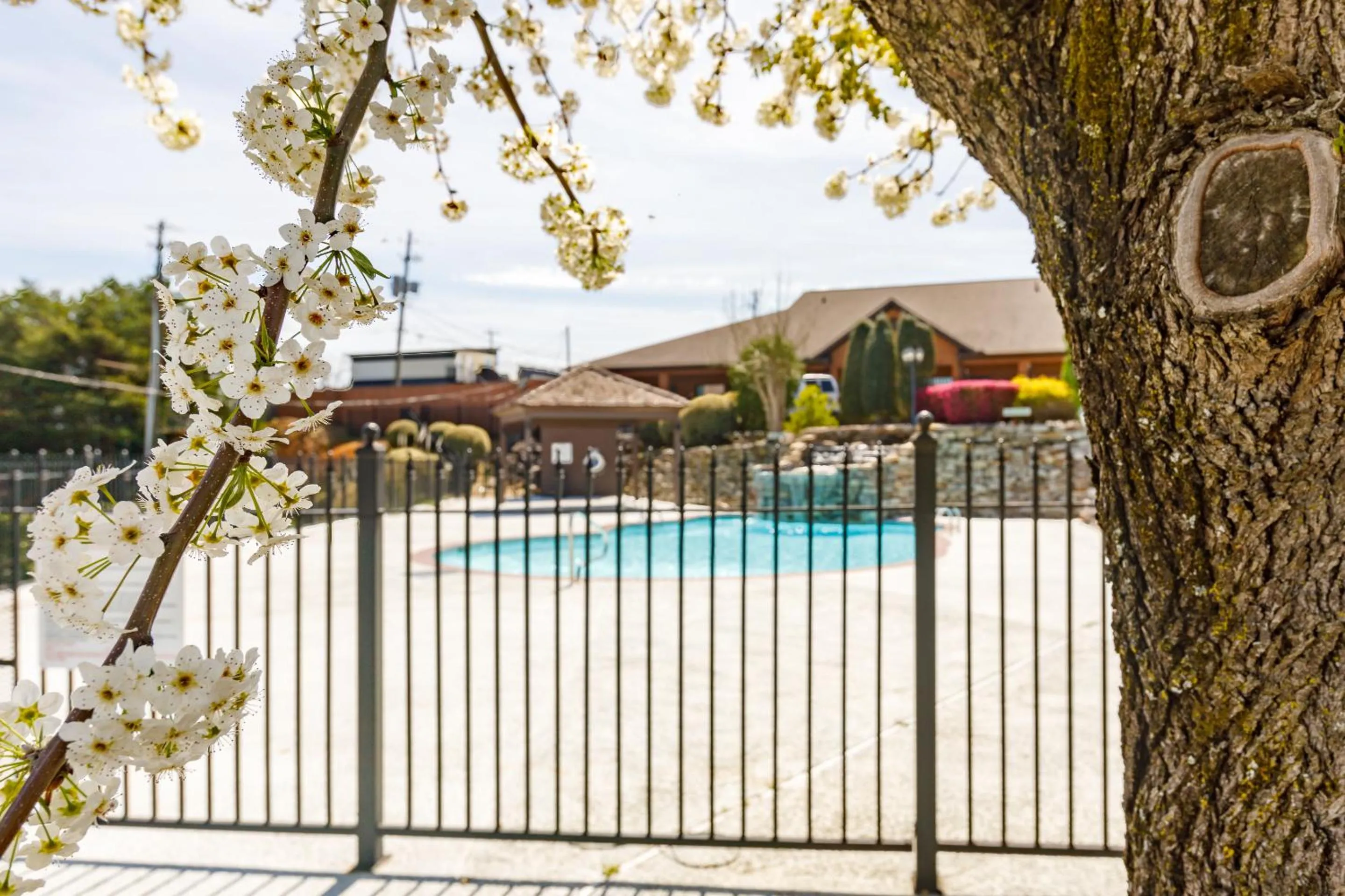 Property building in Gadsden Inn and Suites