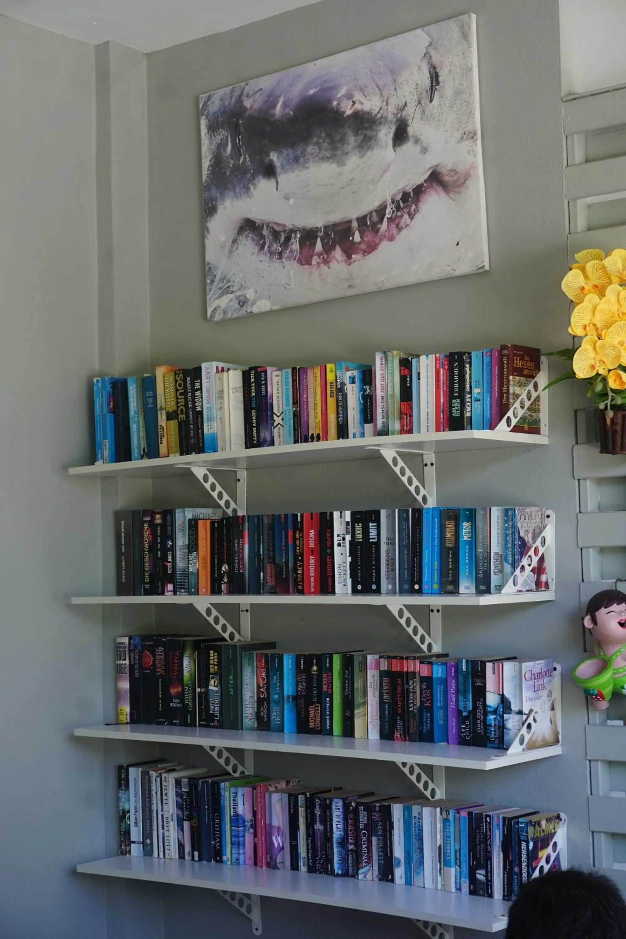 Library in Nadapa Resort