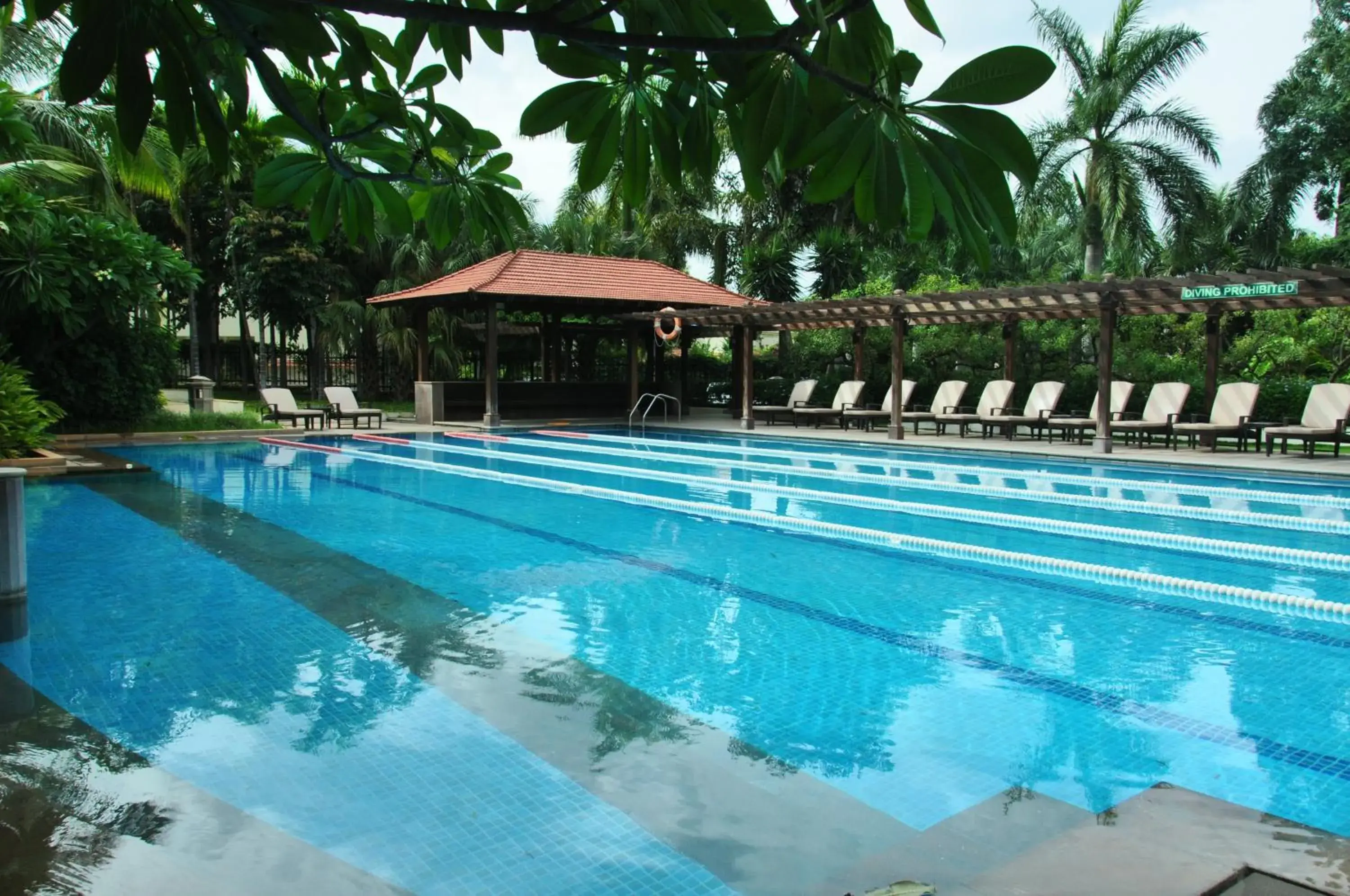 Swimming pool in Palm Meadows Resort Swimming pool in Palm Meadows Resort
