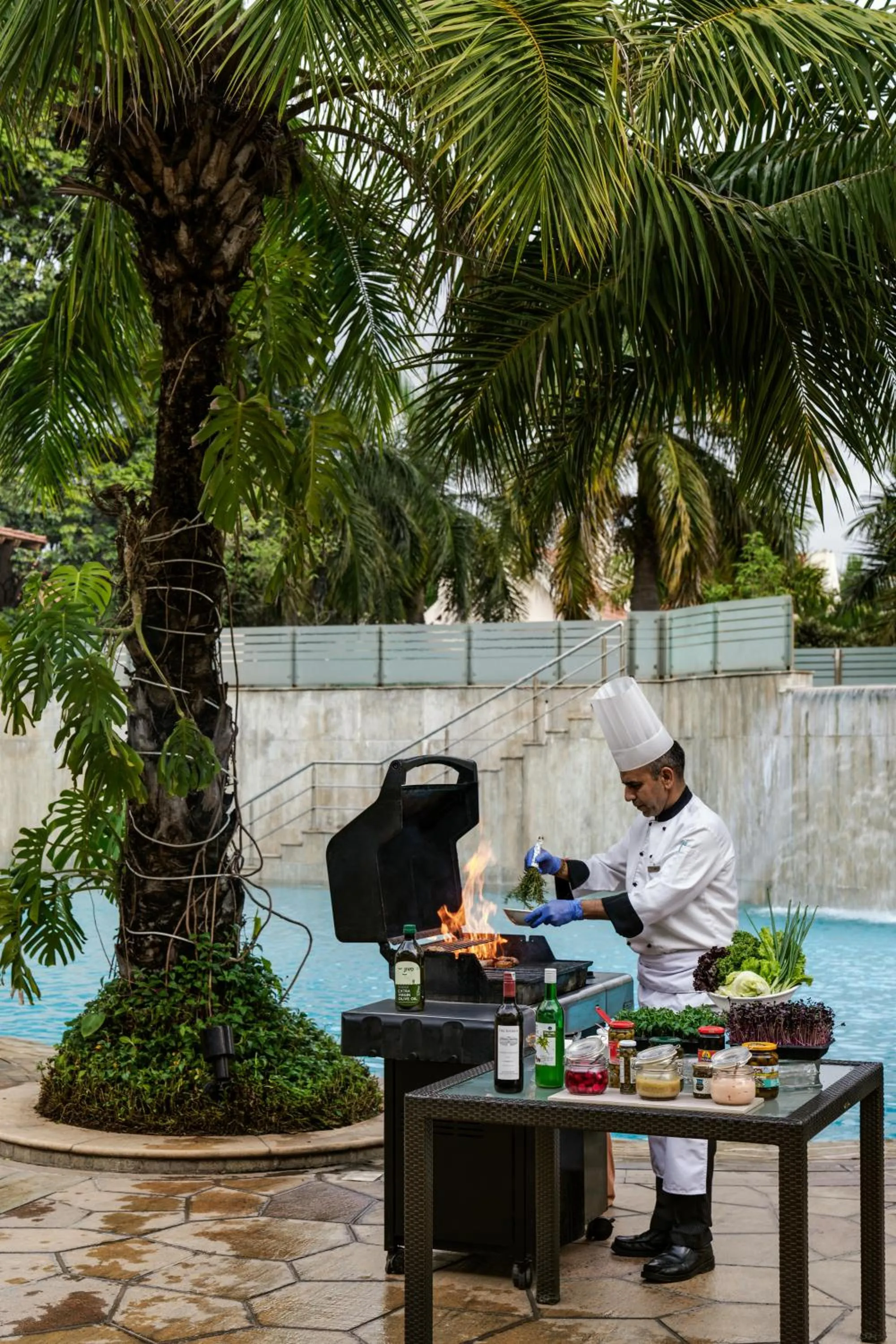 Food in Palm Meadows Resort