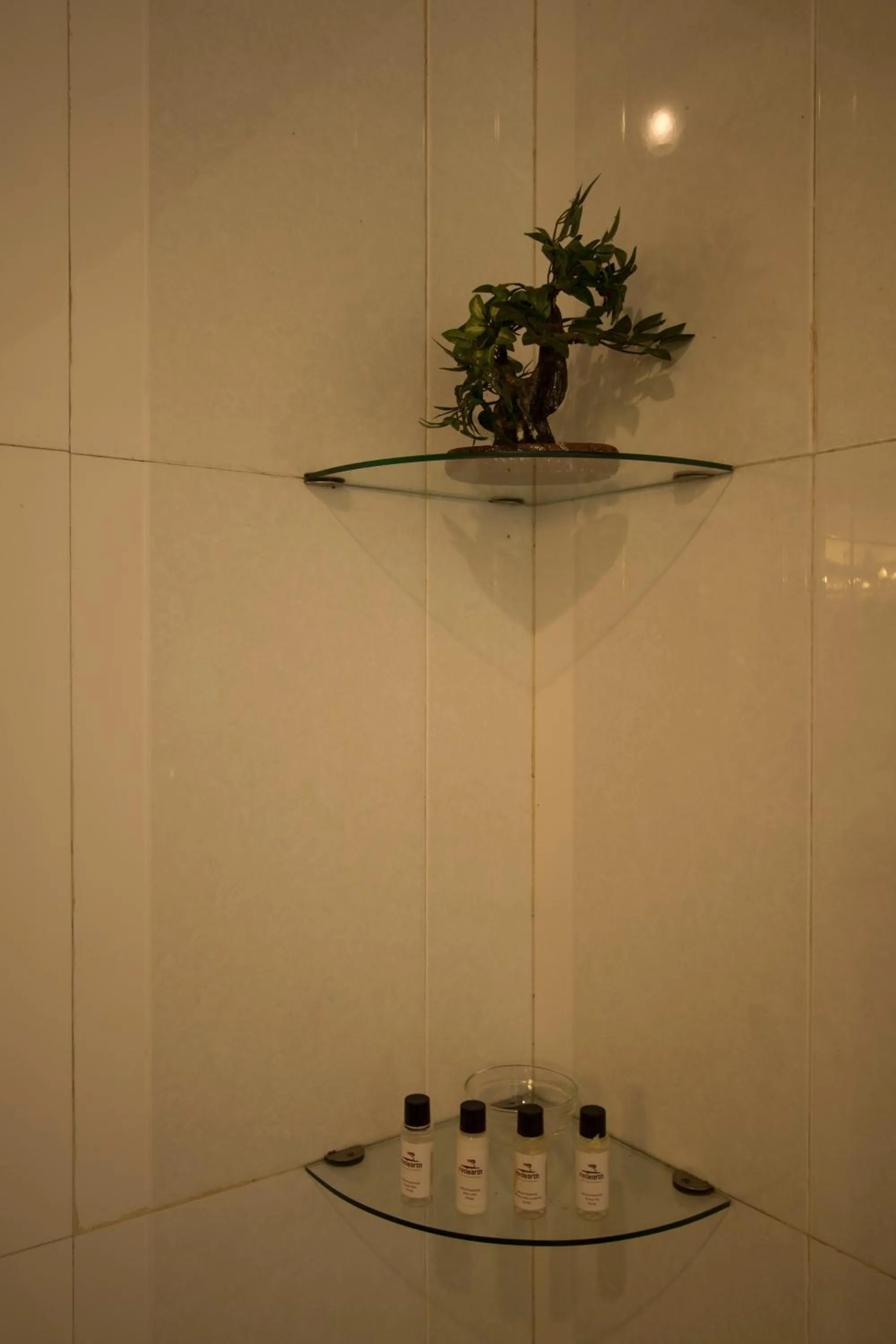 Bathroom in Red Earth Kabini