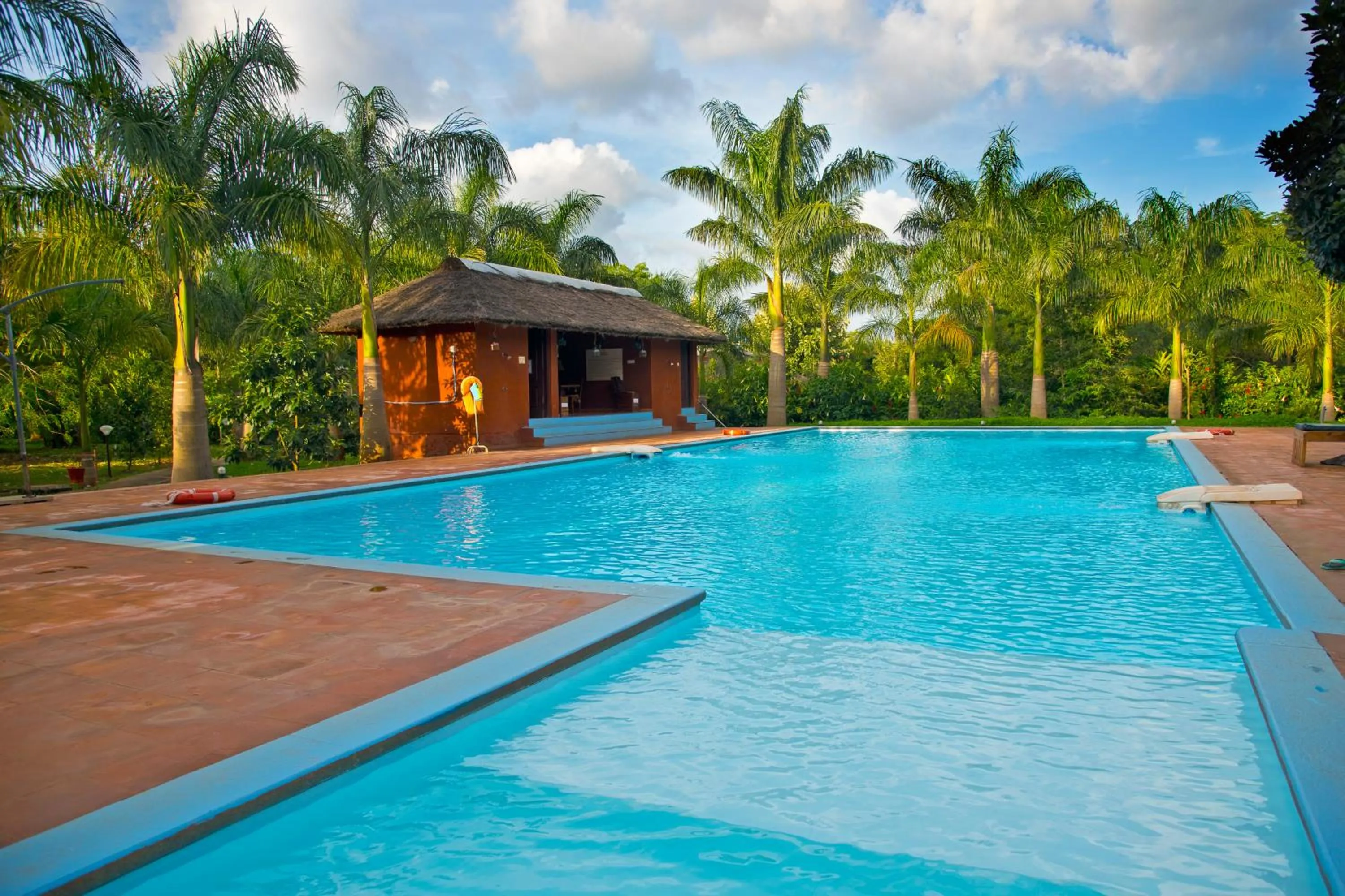 Swimming pool in Red Earth Kabini