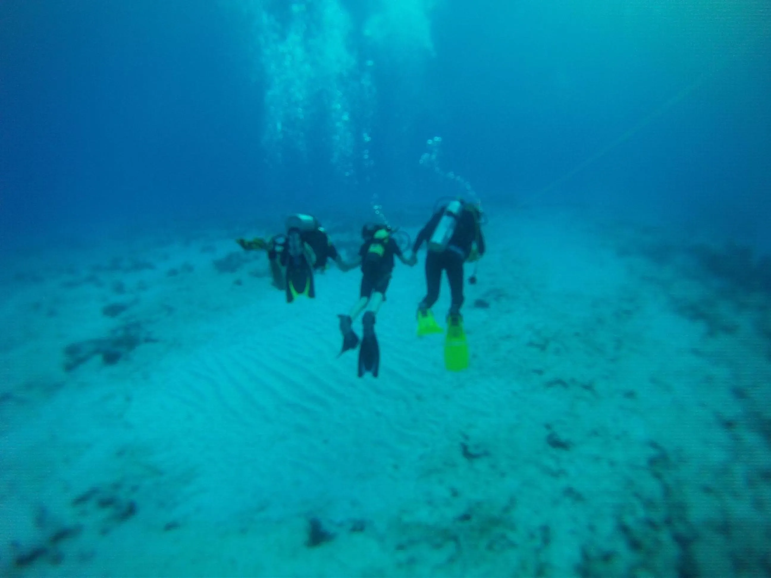 Snorkeling in Paradise Studios