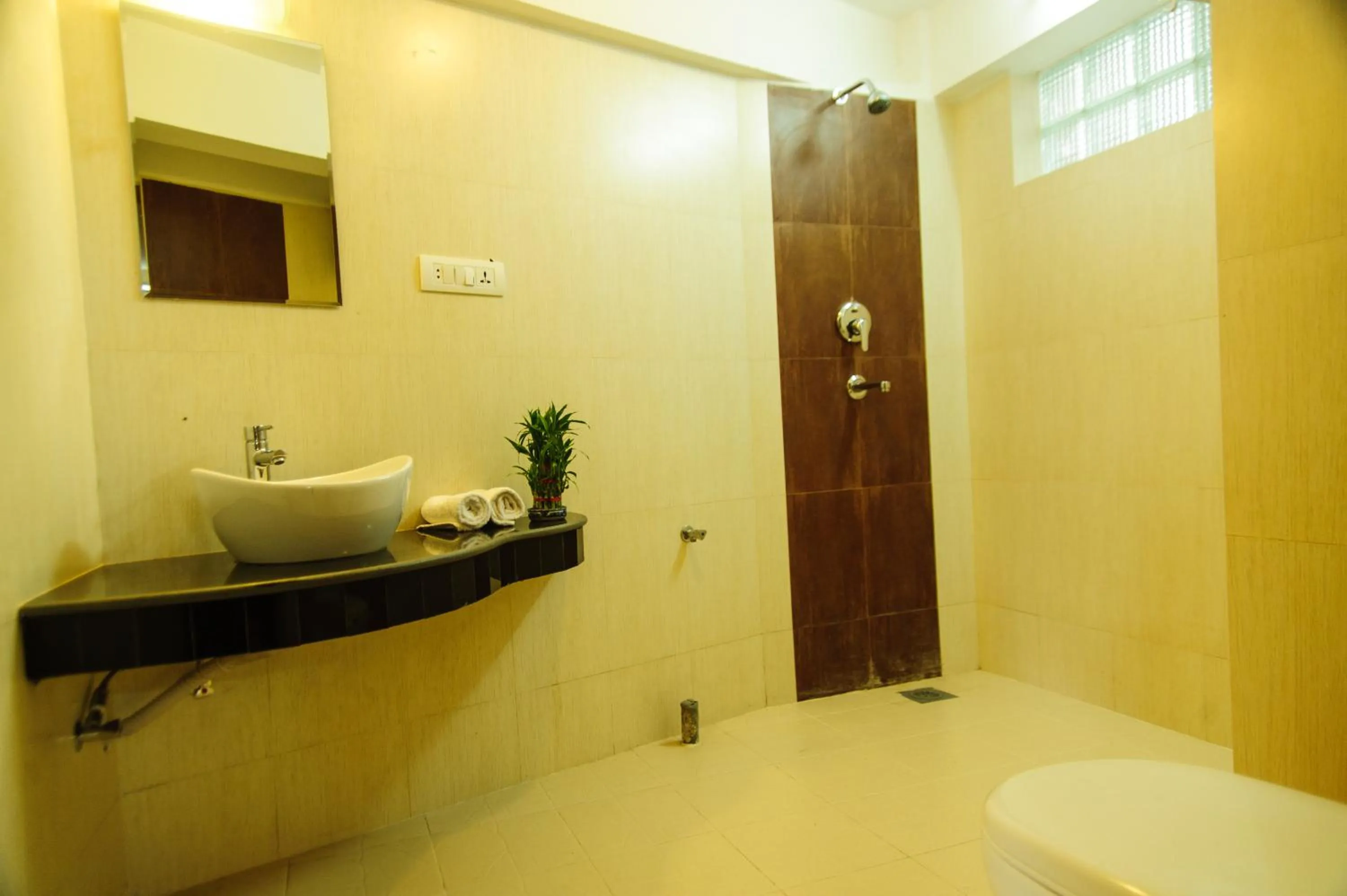Shower in Thagu Chhen, a Boutique Hotel