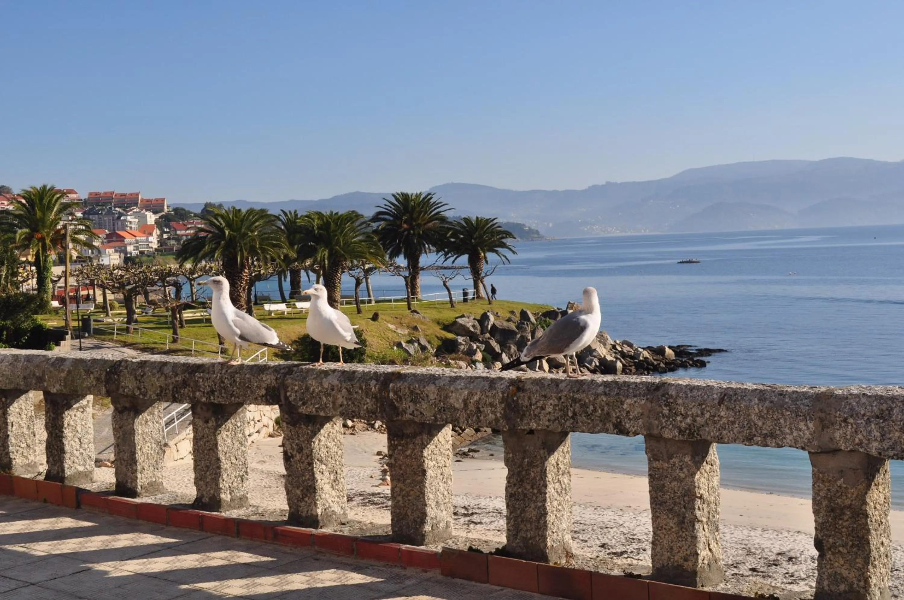 Bird's eye view in O Son Do Mar