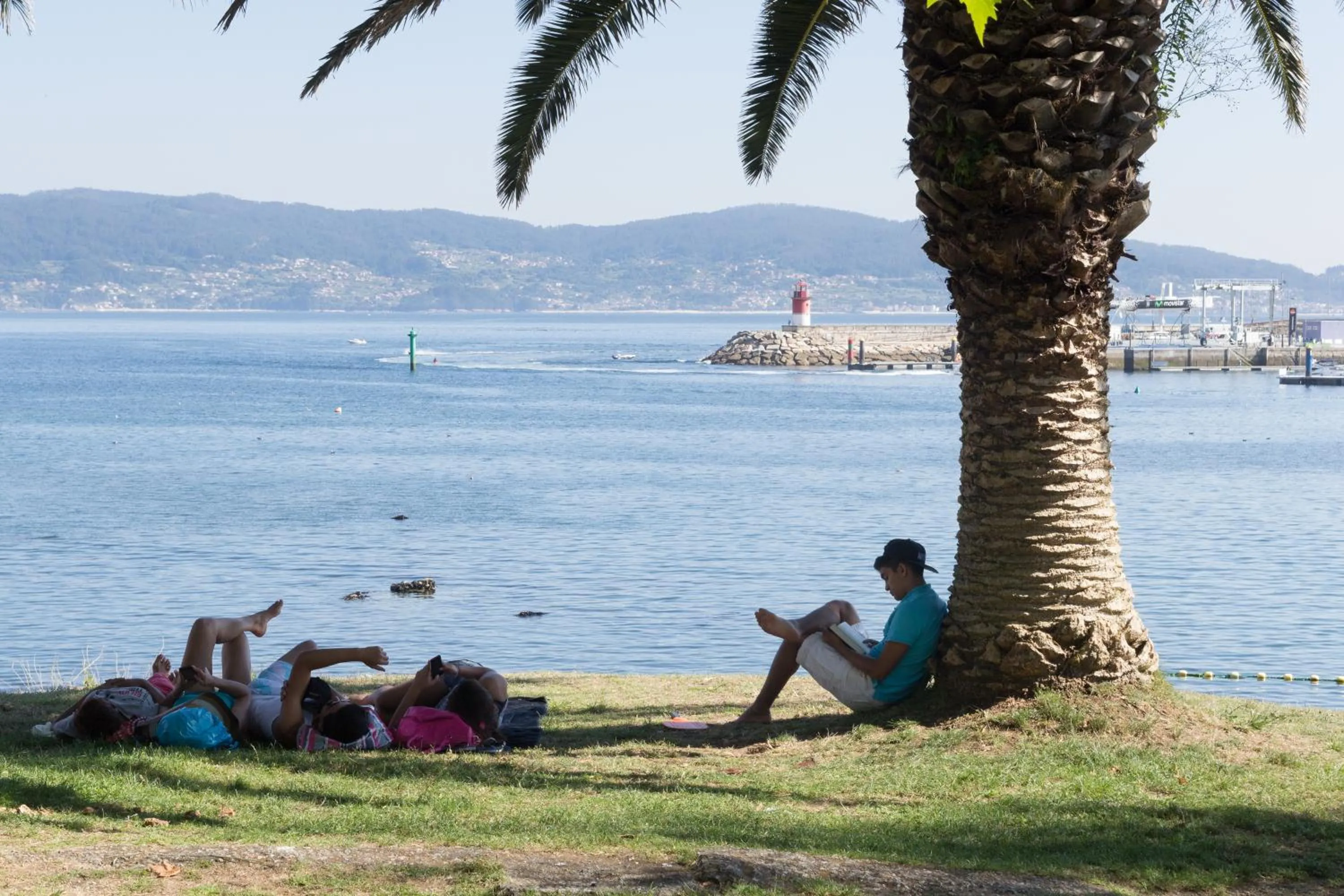 Spring in O Son Do Mar