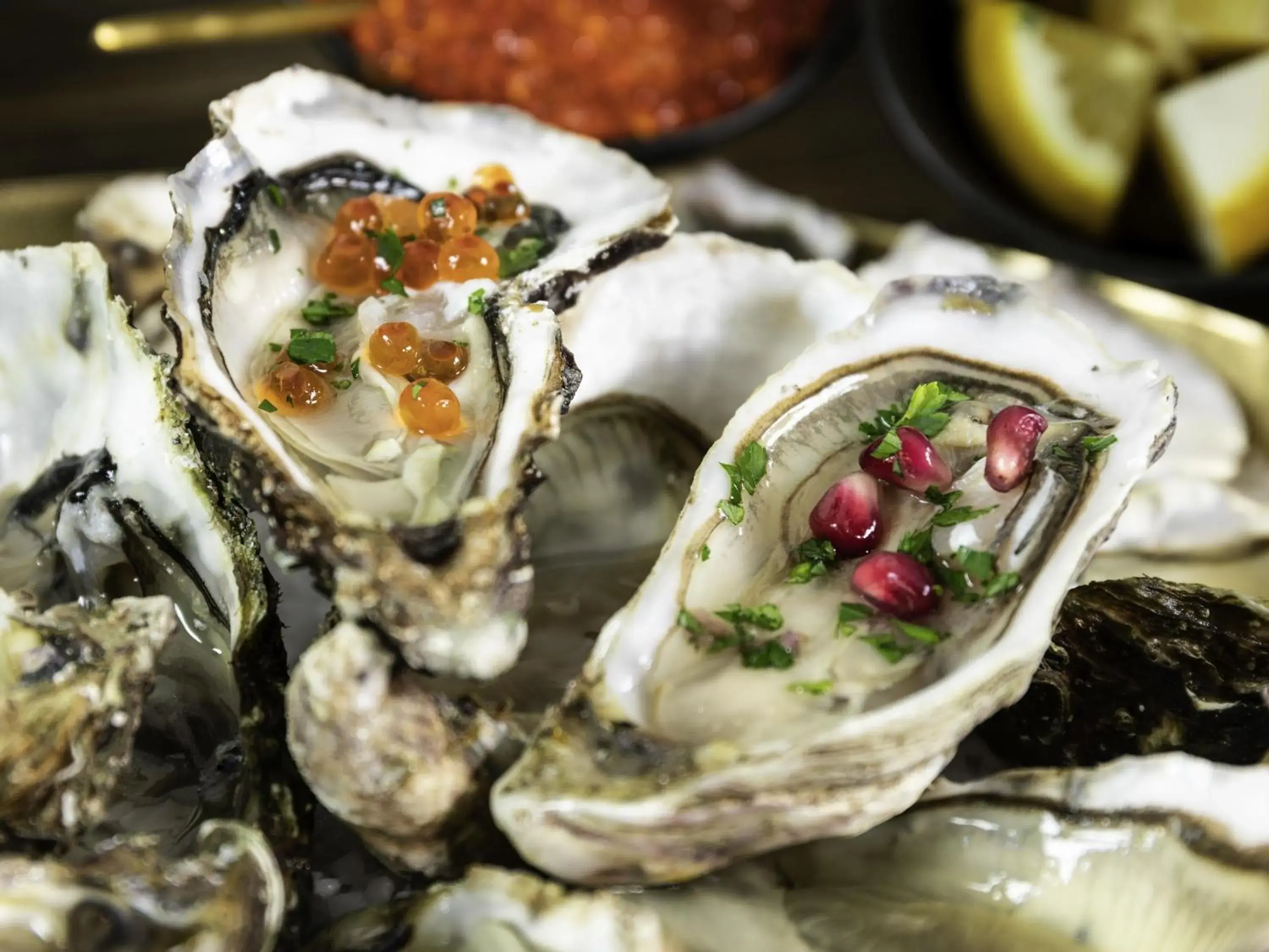 Restaurant/places to eat in ibis Sète Balaruc les Bains Bien-être et Spa Restaurant/places to eat in ibis Sète Balaruc les Bains Bien-être et Spa