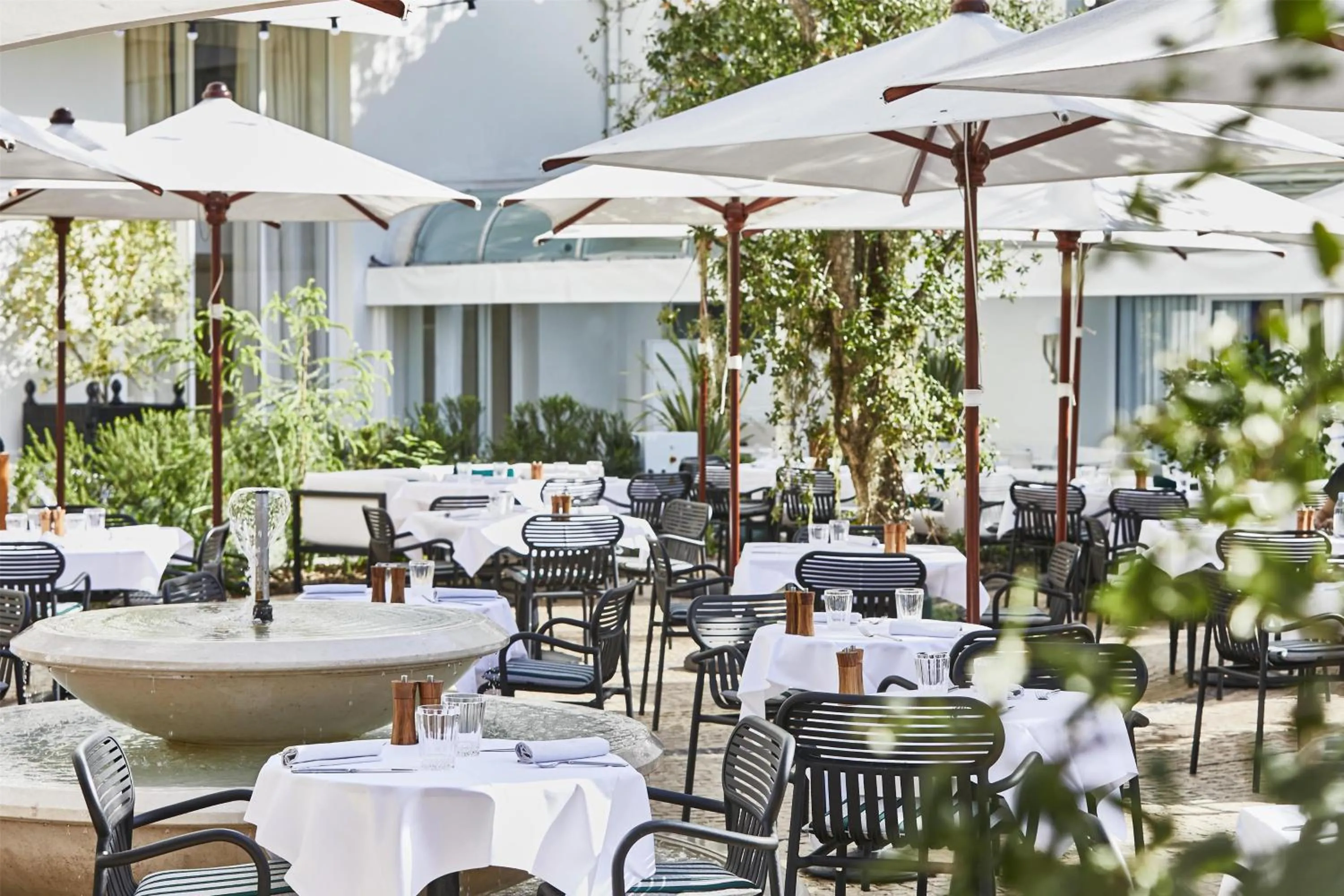 Restaurant/places to eat in Hôtel Martinez, in The Unbound Collection by Hyatt