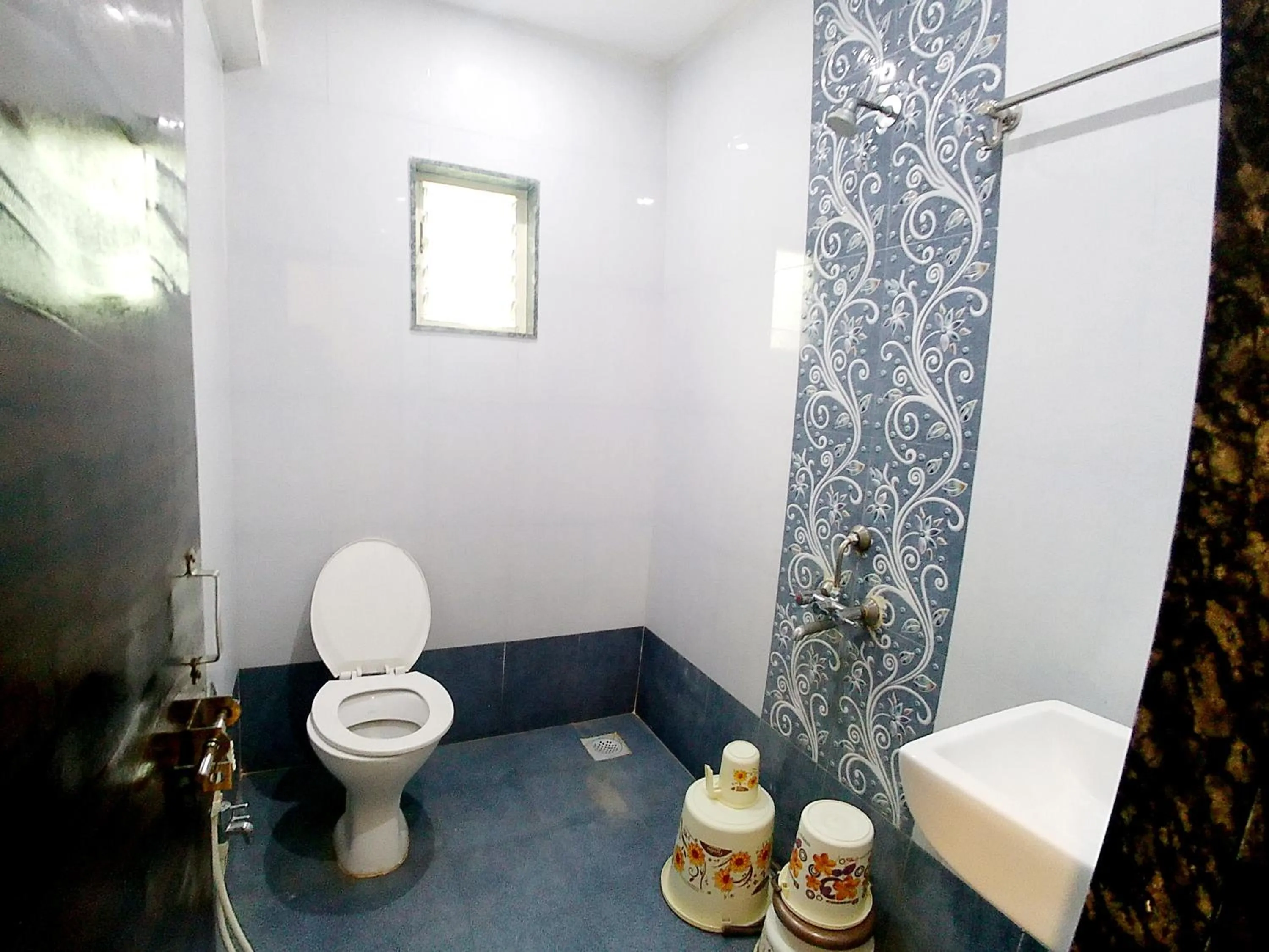 Shower in Hotel Sai SK Palace