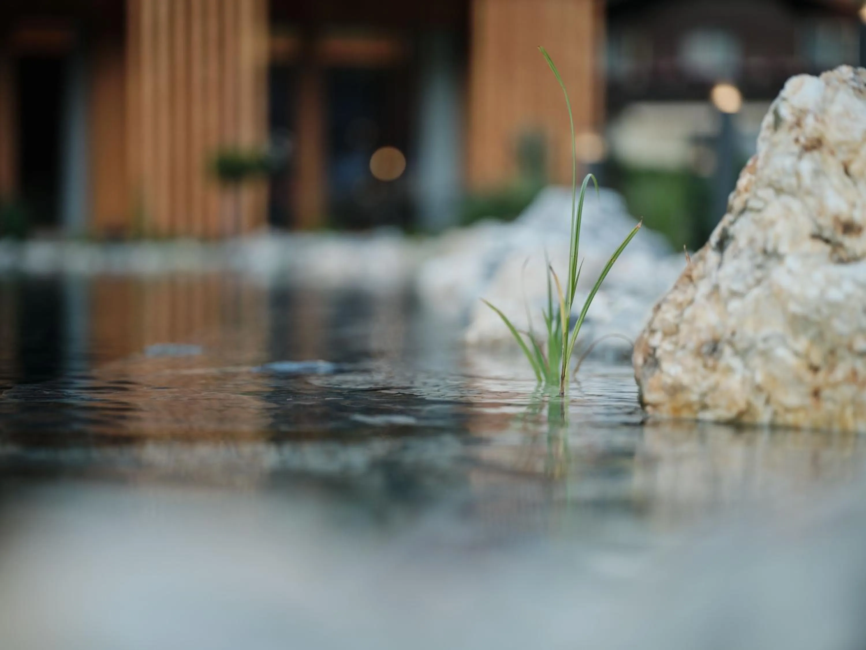 Garden in Wellness und Brunch Hotel MorgenZeit beheizter Naturpool mit Sandstrand Genuss Frühstück bis 13 Uhr Hochkönig Sommercard