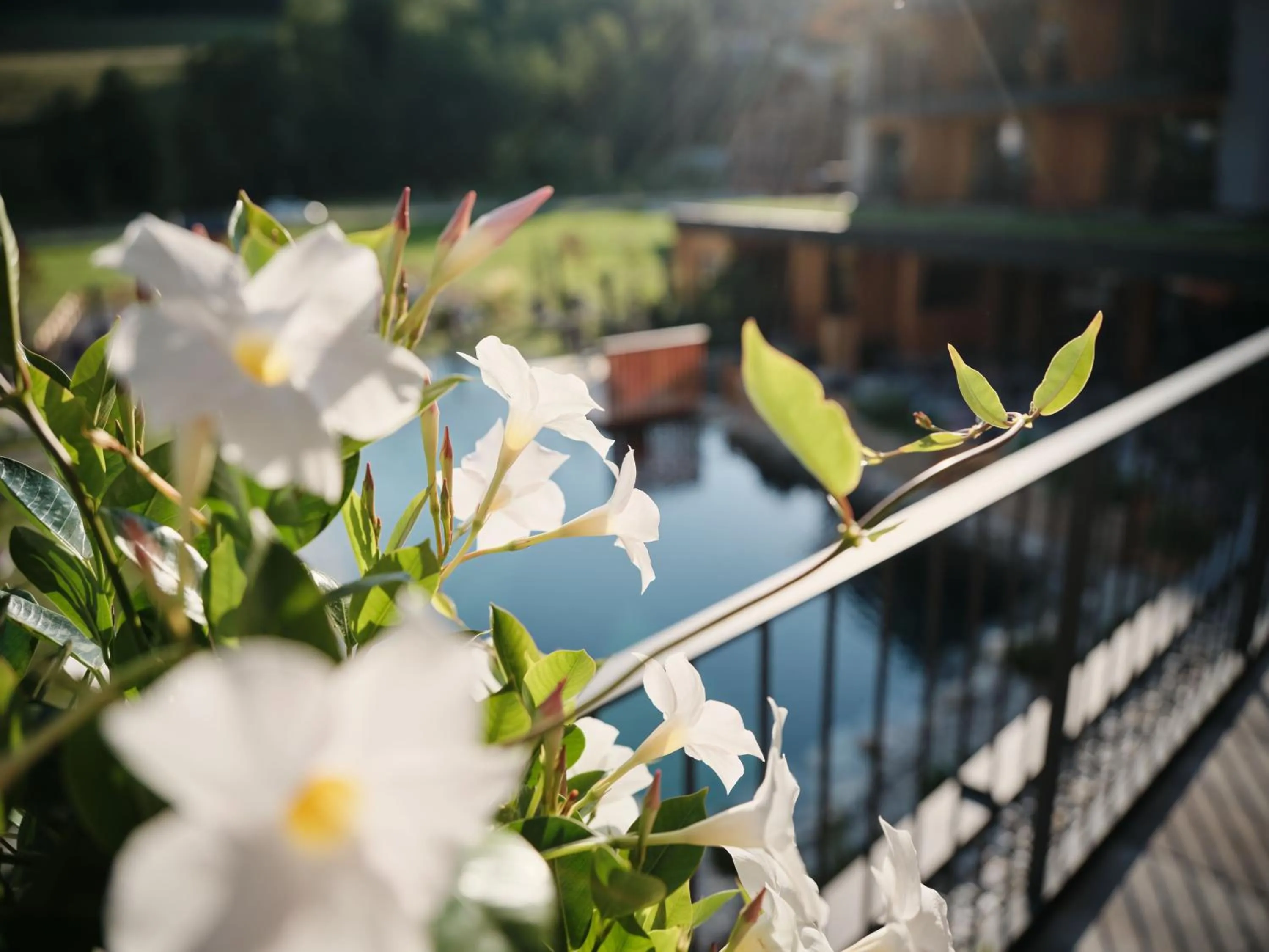 Garden in Wellness und Brunch Hotel MorgenZeit beheizter Naturpool mit Sandstrand Genuss Frühstück bis 13 Uhr Hochkönig Sommercard