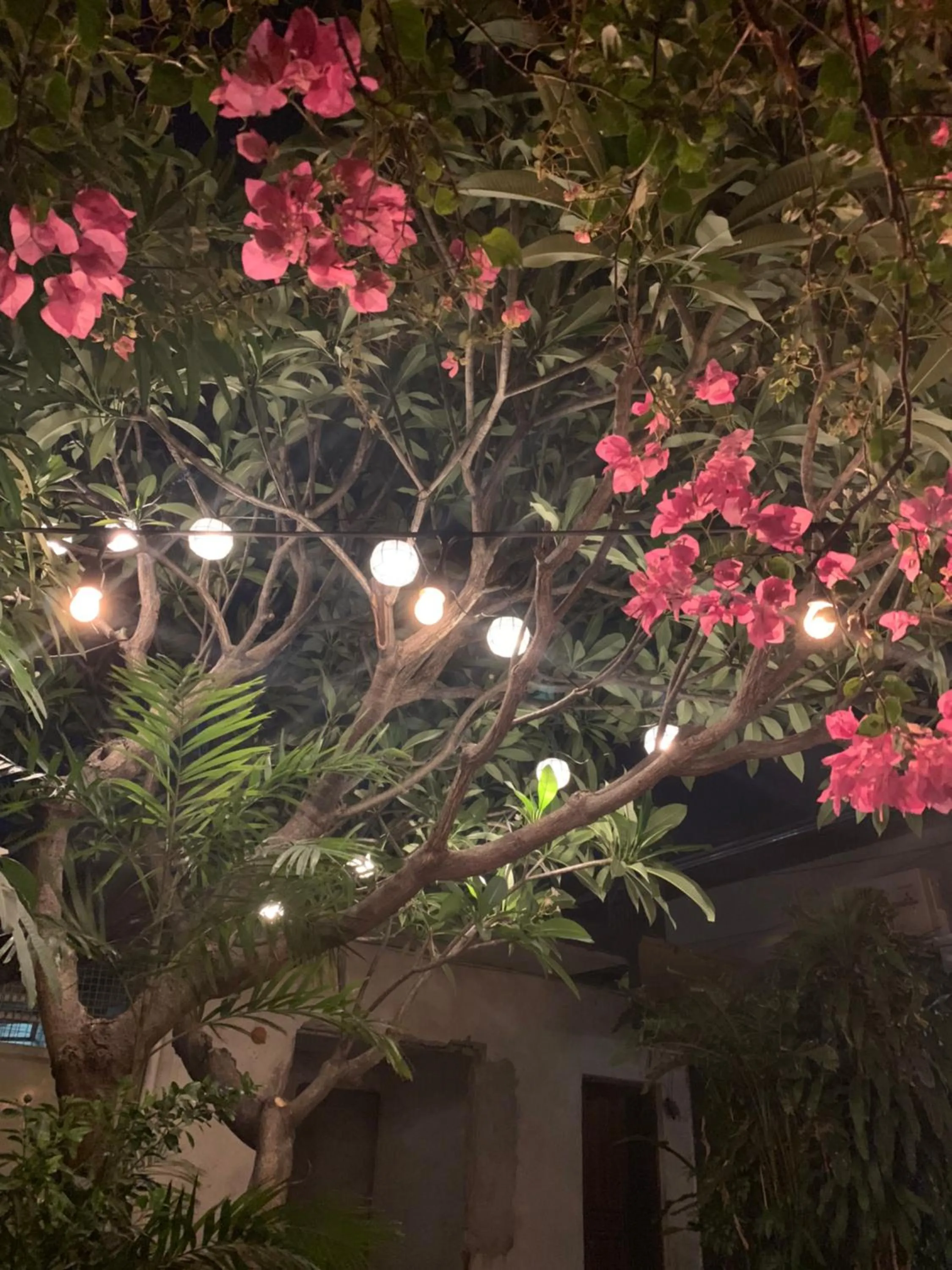 Property building in The Hub District Garden Suites