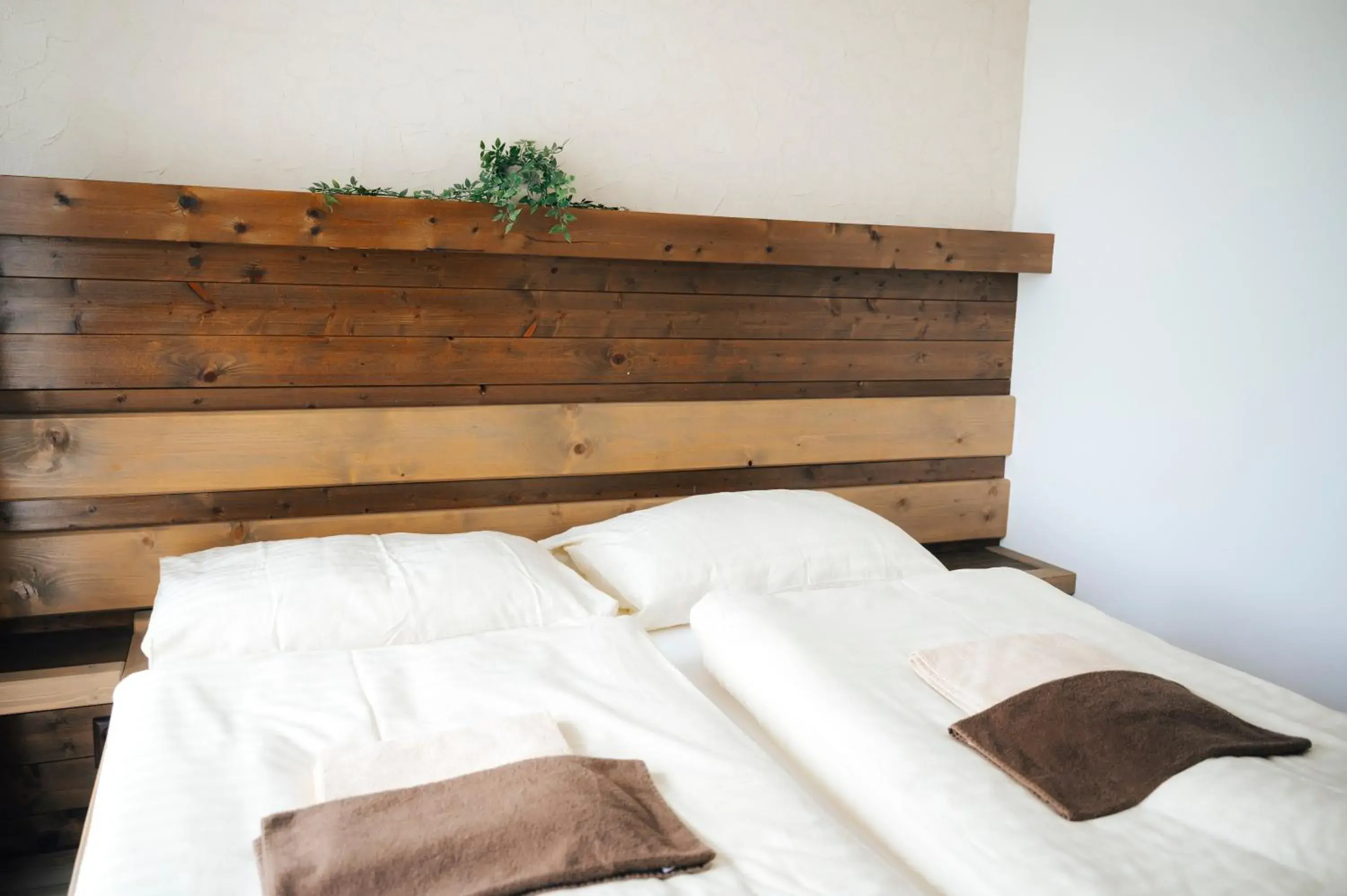 Apartment - single occupancy in Nestville Apartments Apartment - single occupancy in Nestville Apartments