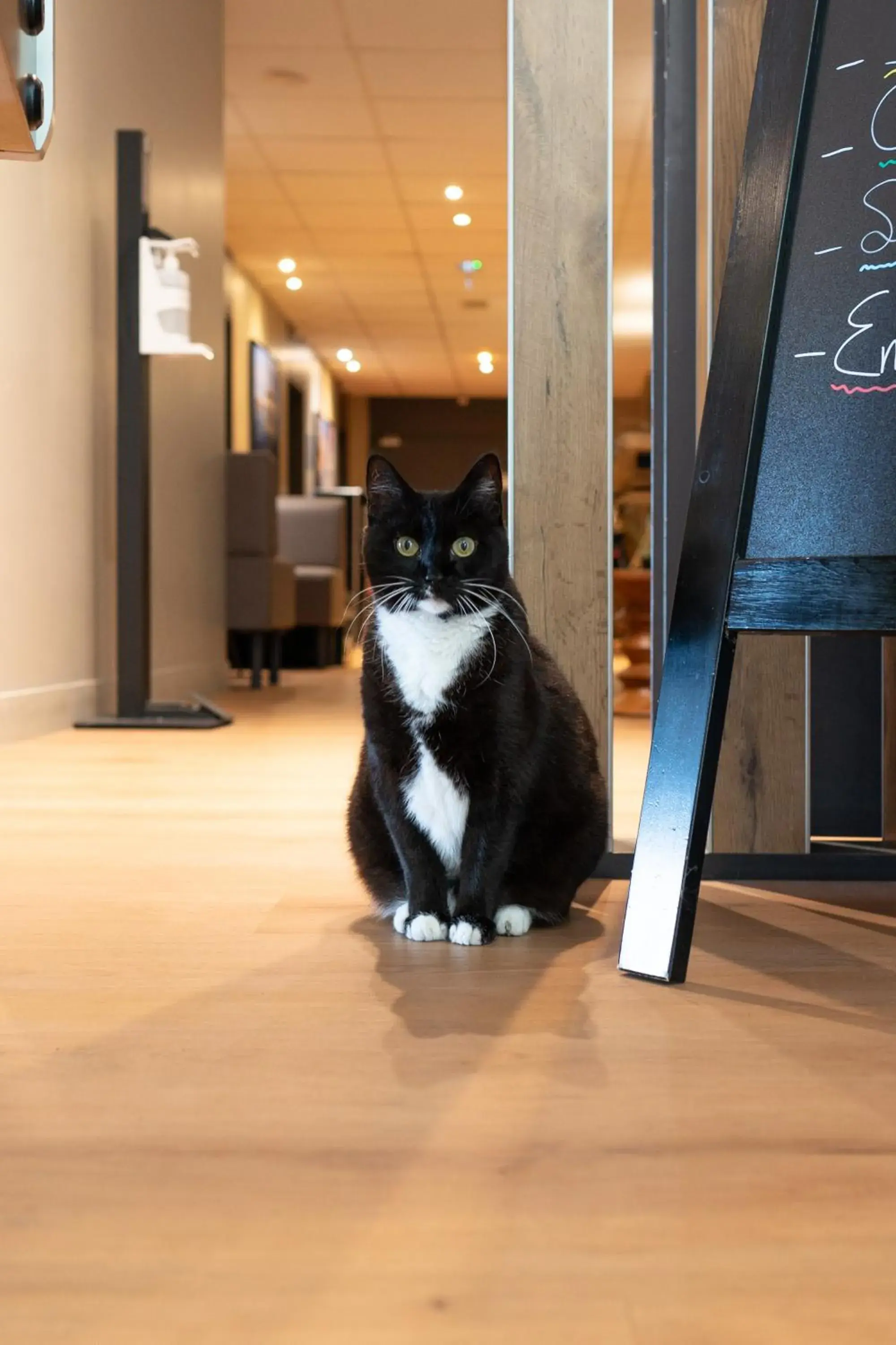 ibis Arcachon la Teste de Buch ibis Arcachon la Teste de Buch