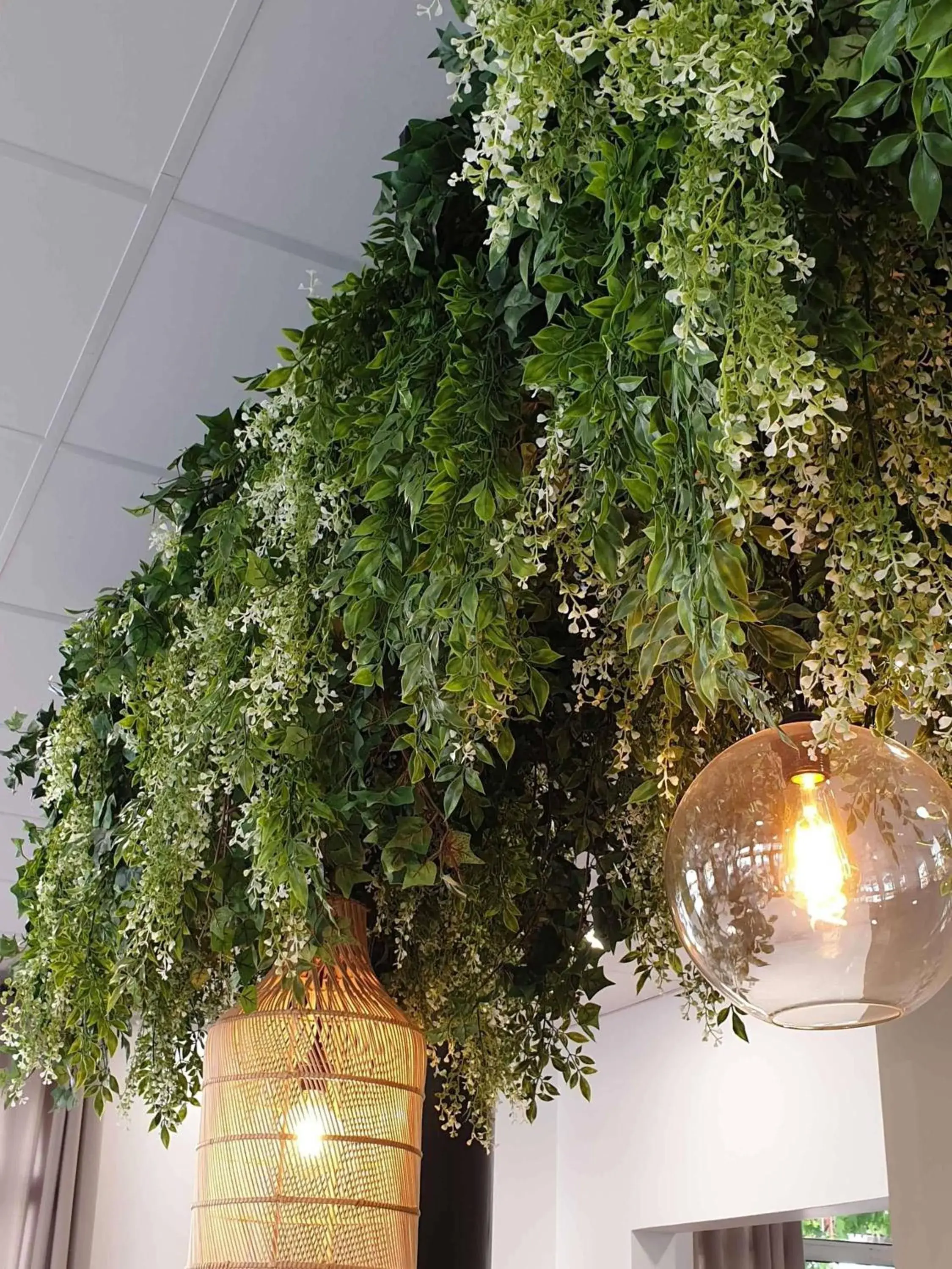 Property building in ibis Ciboure Saint-Jean-de-Luz Property building in ibis Ciboure Saint-Jean-de-Luz