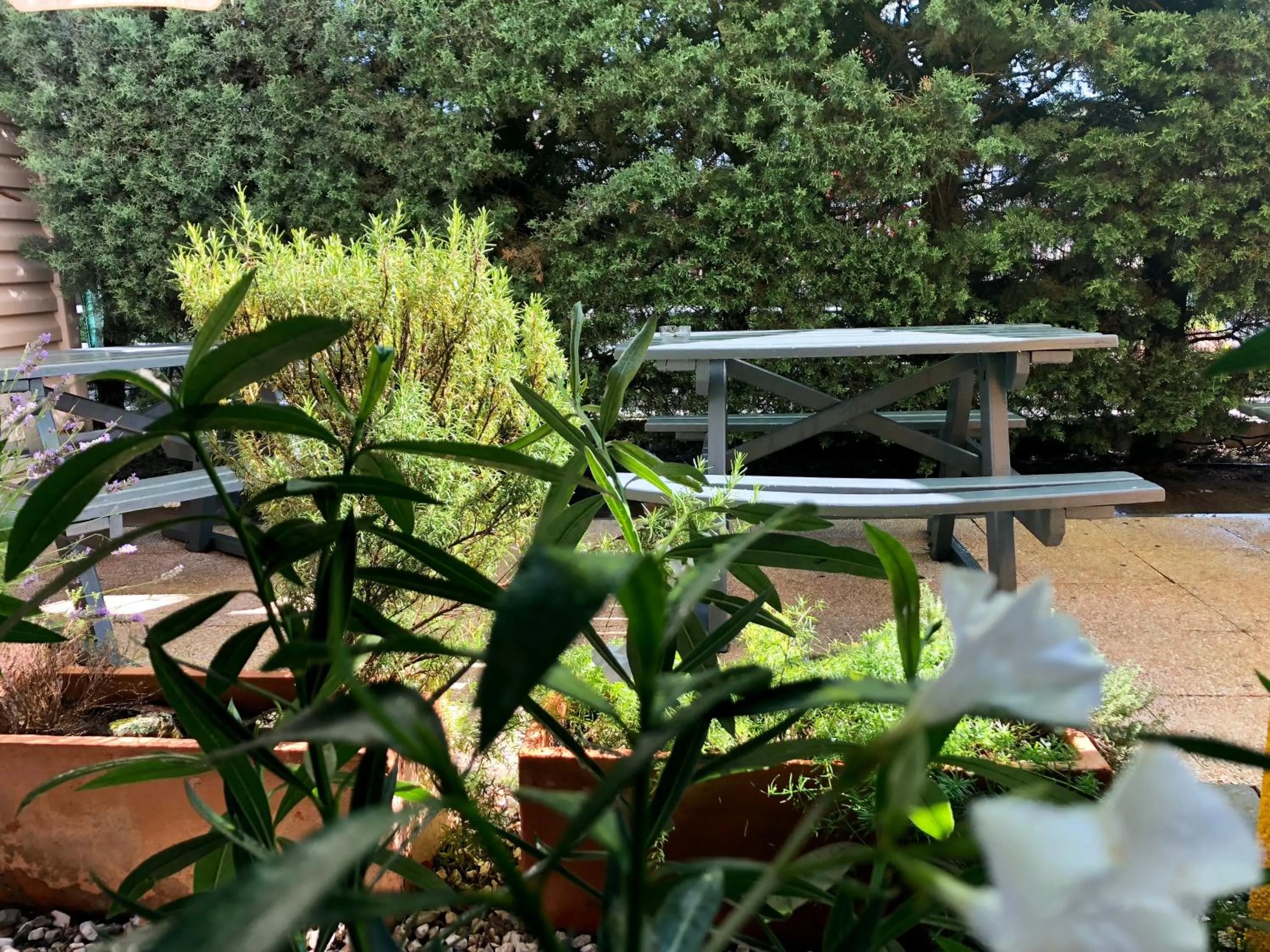 Patio in Premiere Classe Perpignan Sud