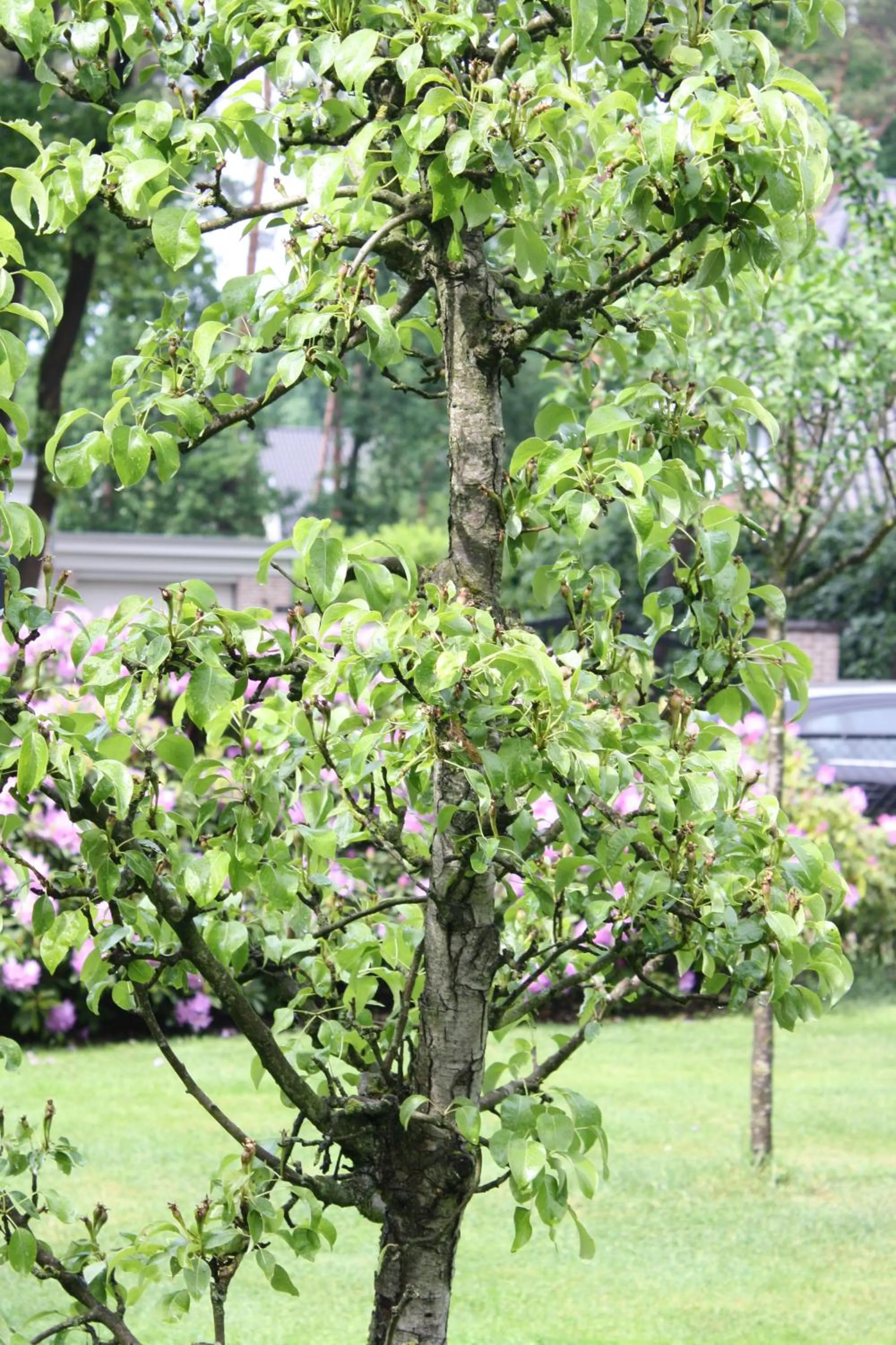 Bed & Breakfast Op 't Leven