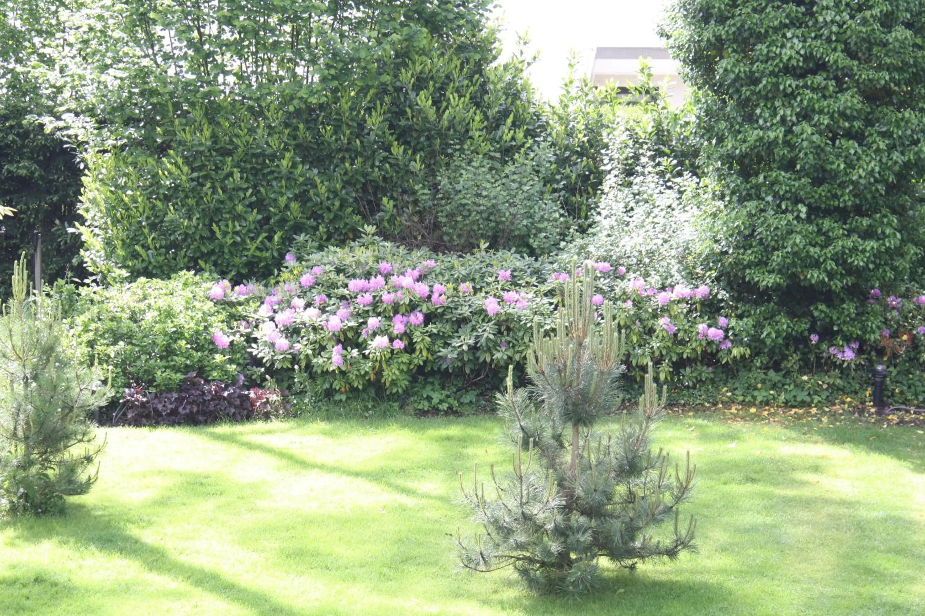 Bed & Breakfast Op 't Leven