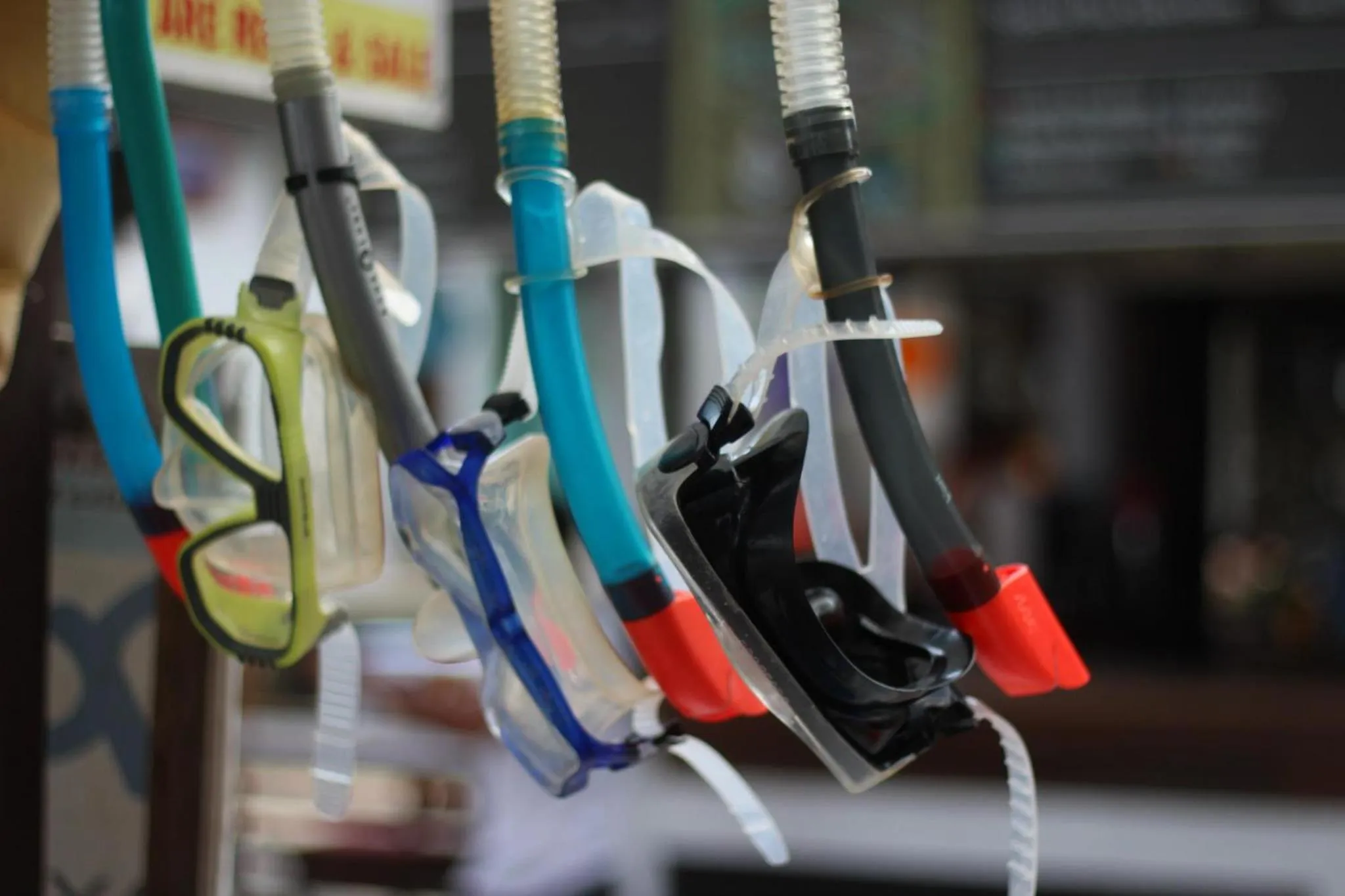 Snorkeling in Wah Resort Gili Trawangan