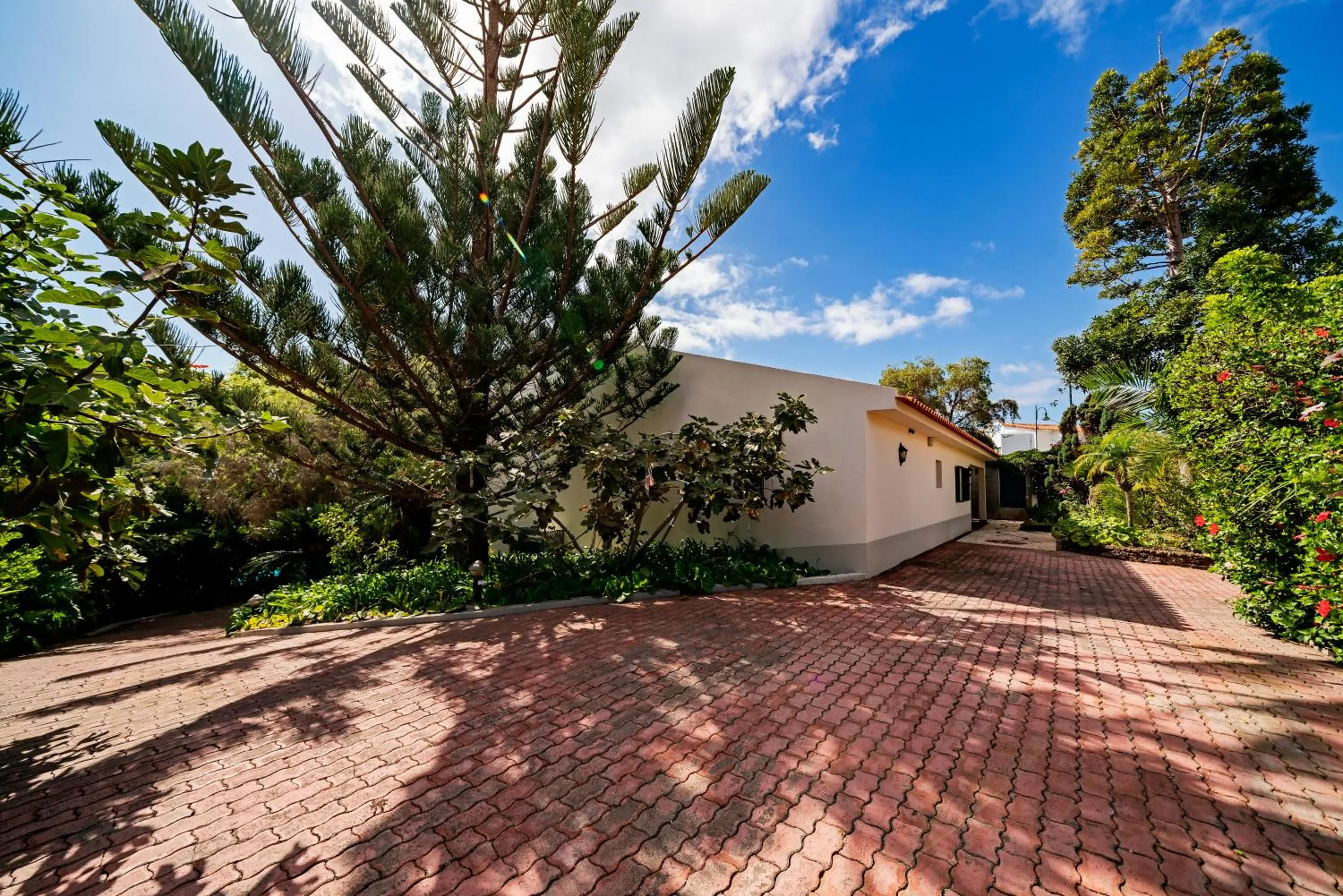 Property building in Villa Albatroz