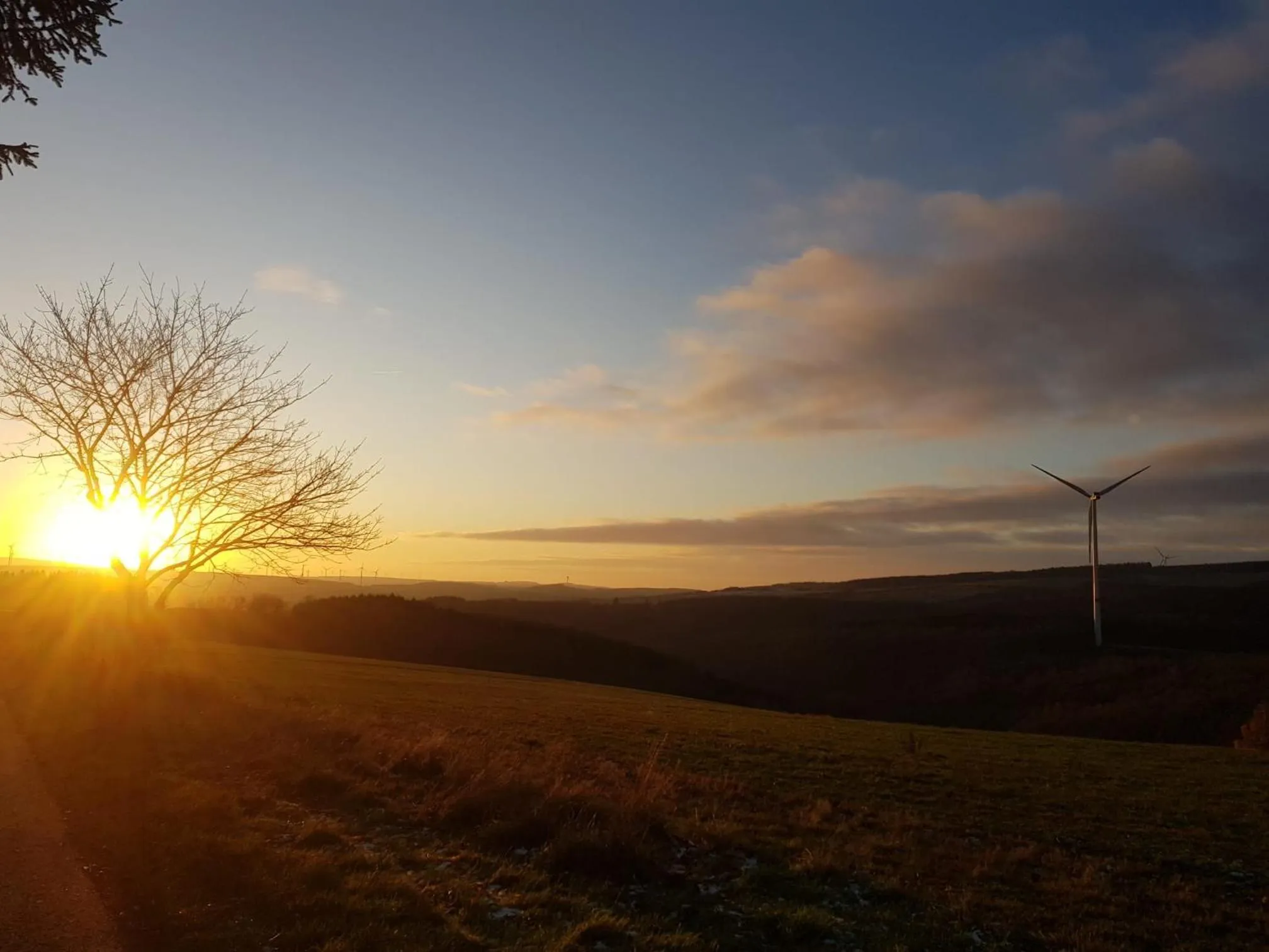 Hiking in Landhaus Gräfendhron