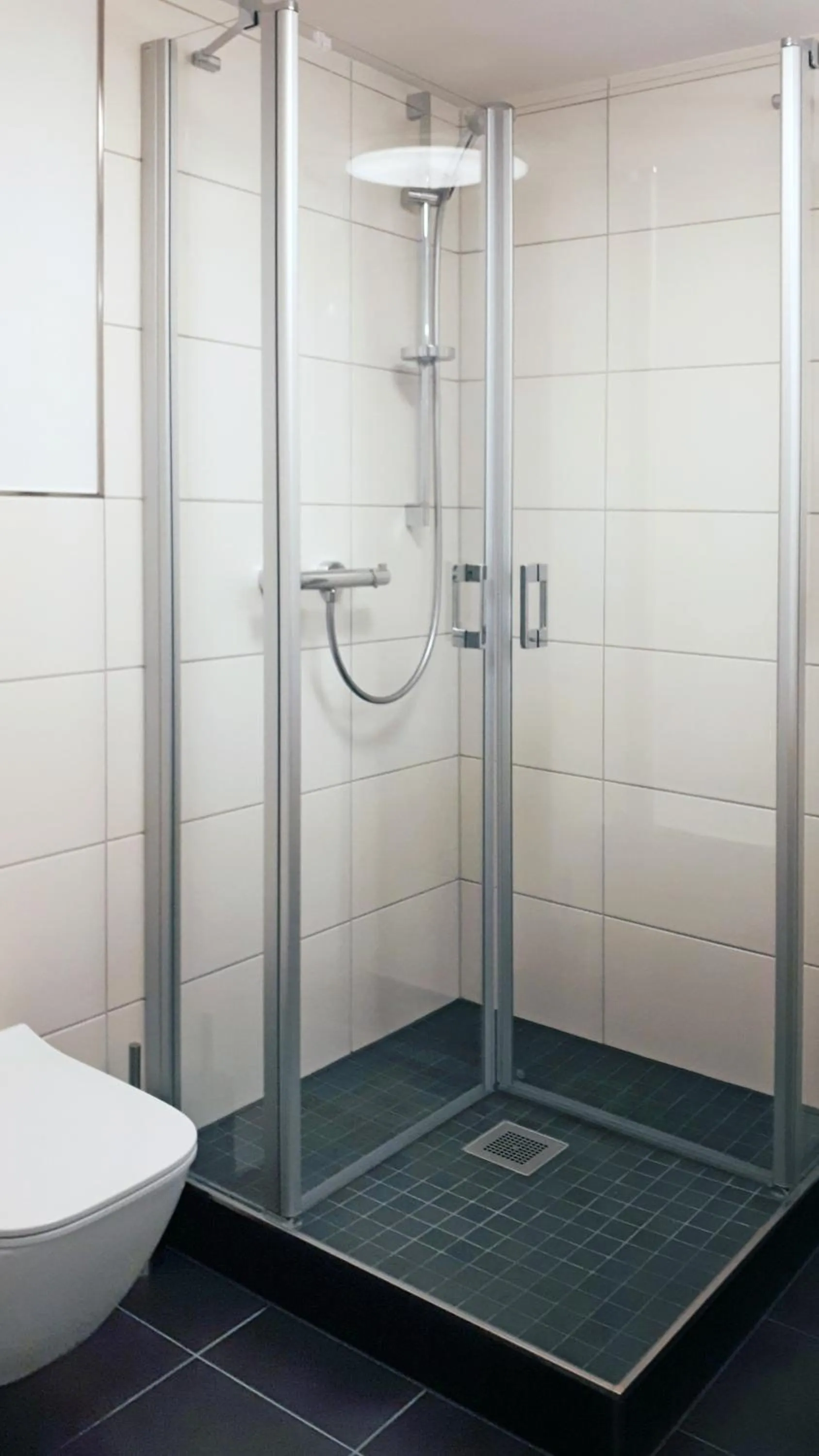 Shower in Landhaus Gräfendhron
