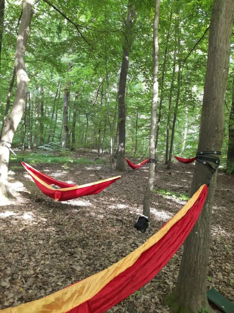Hiking in Landhaus Gräfendhron