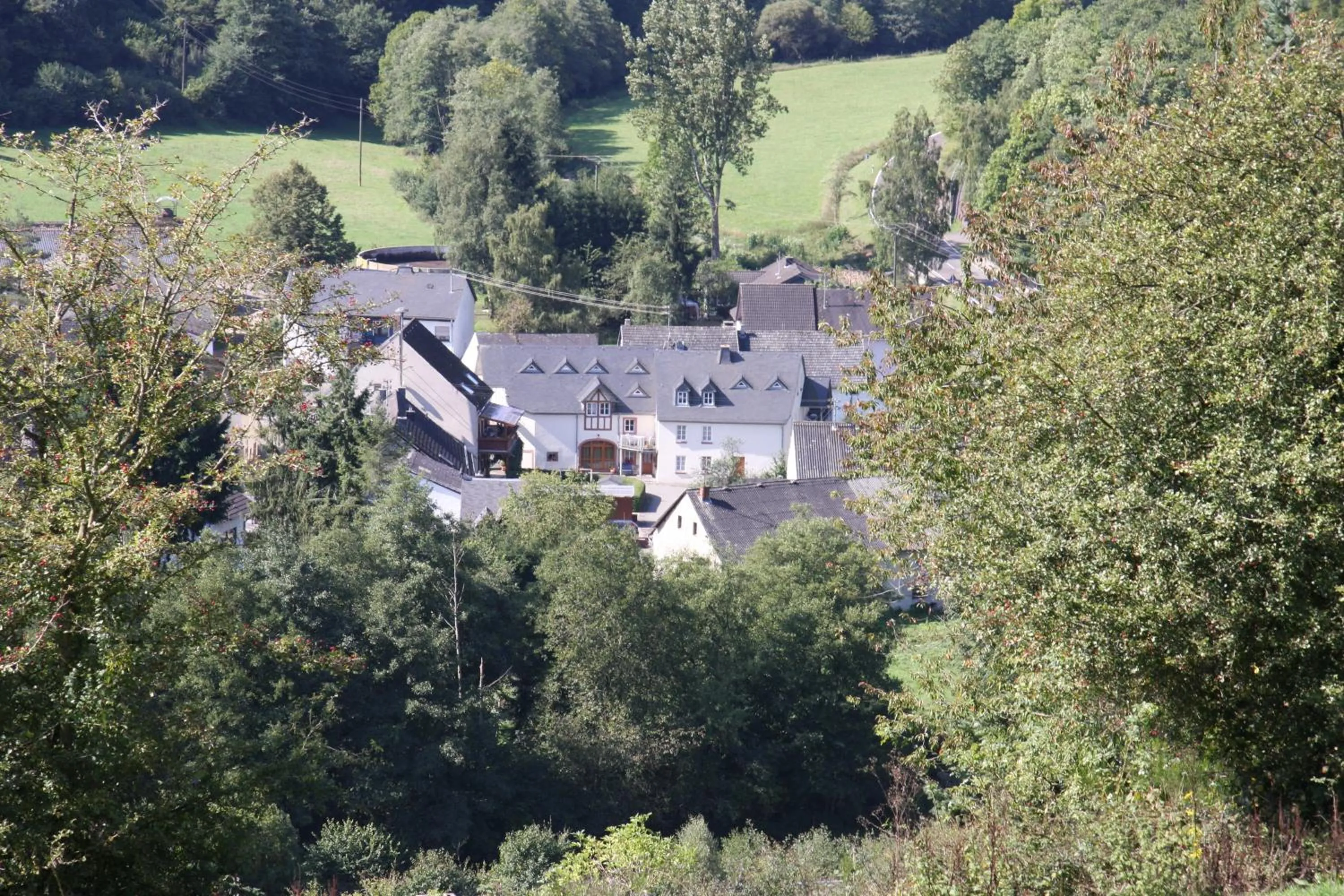 Bird's eye view in Landhaus Gräfendhron