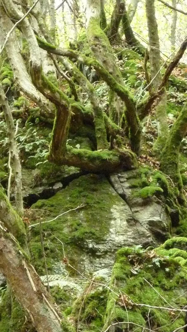 Hiking in Landhaus Gräfendhron